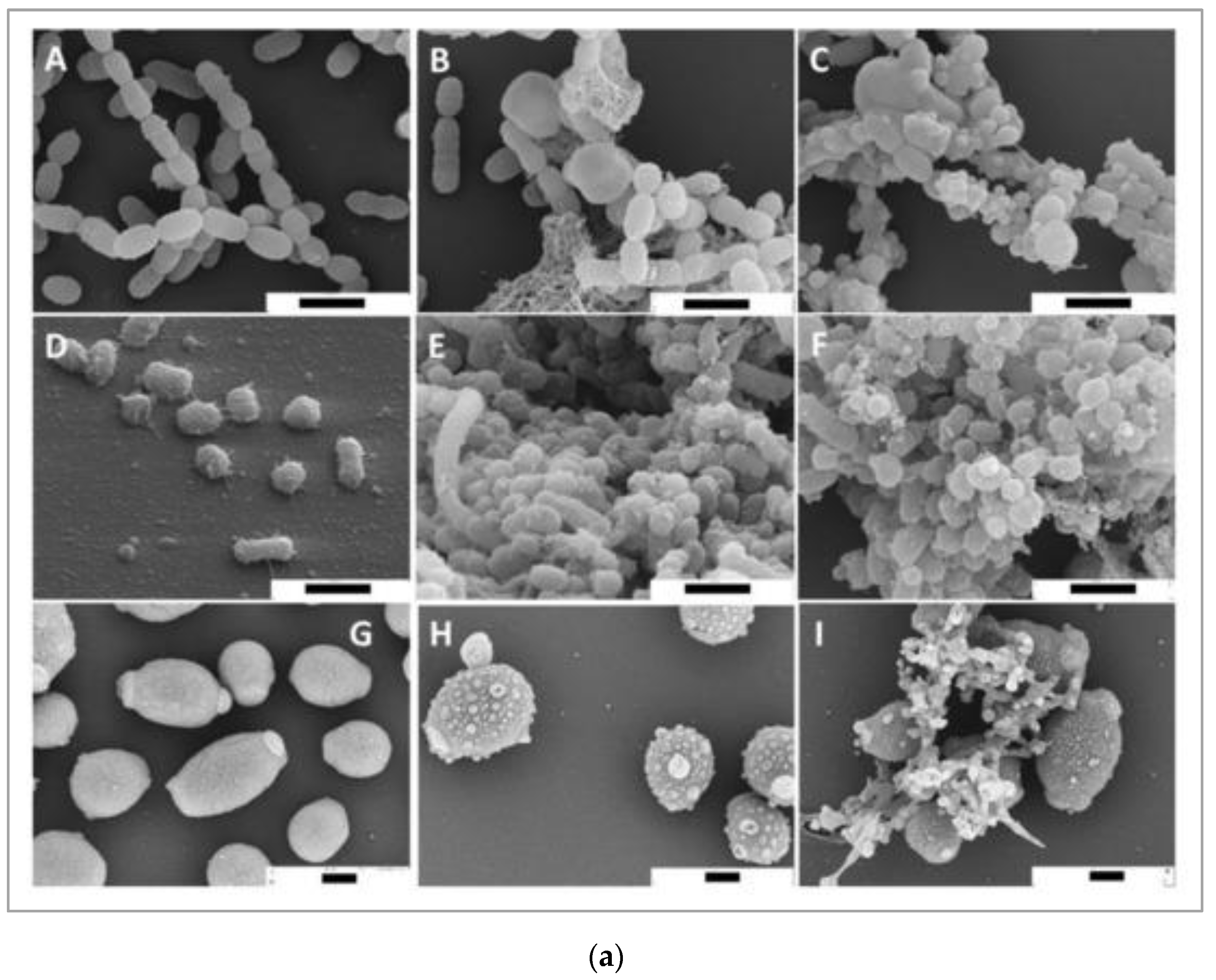 Antioxidants 11 00823 g002a