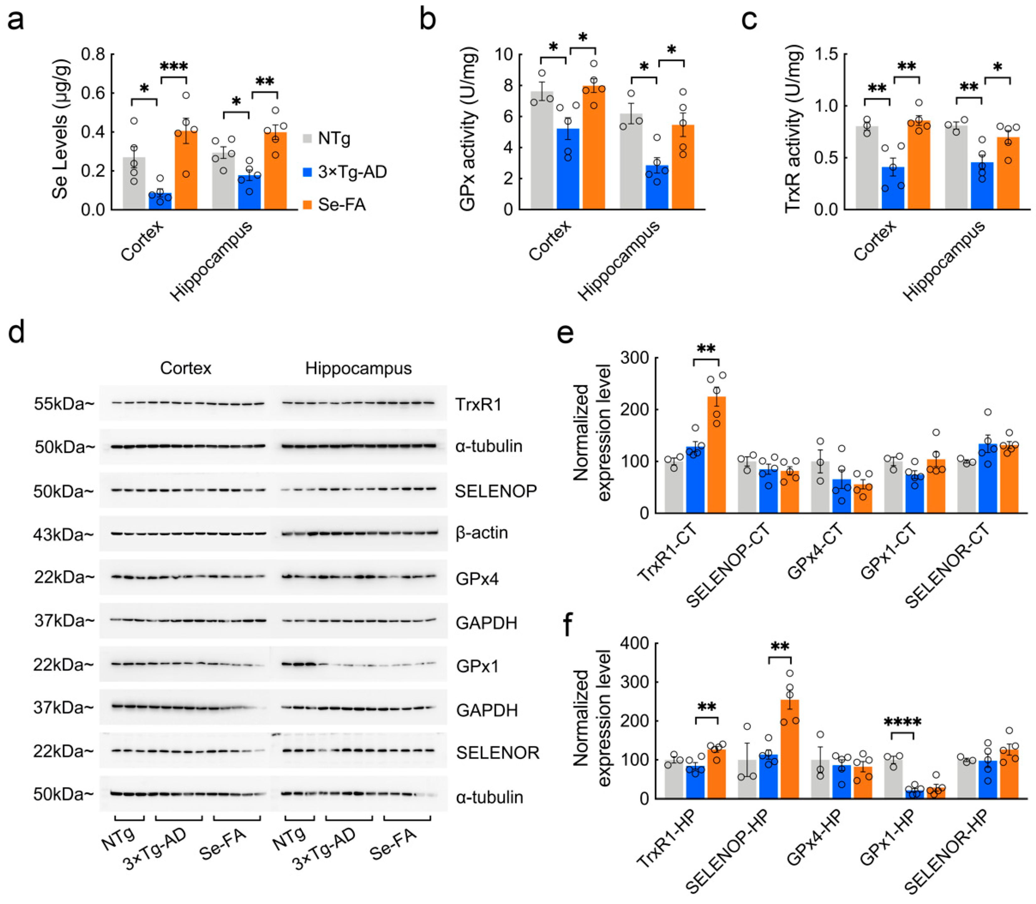 Antioxidants 11 00829 g002