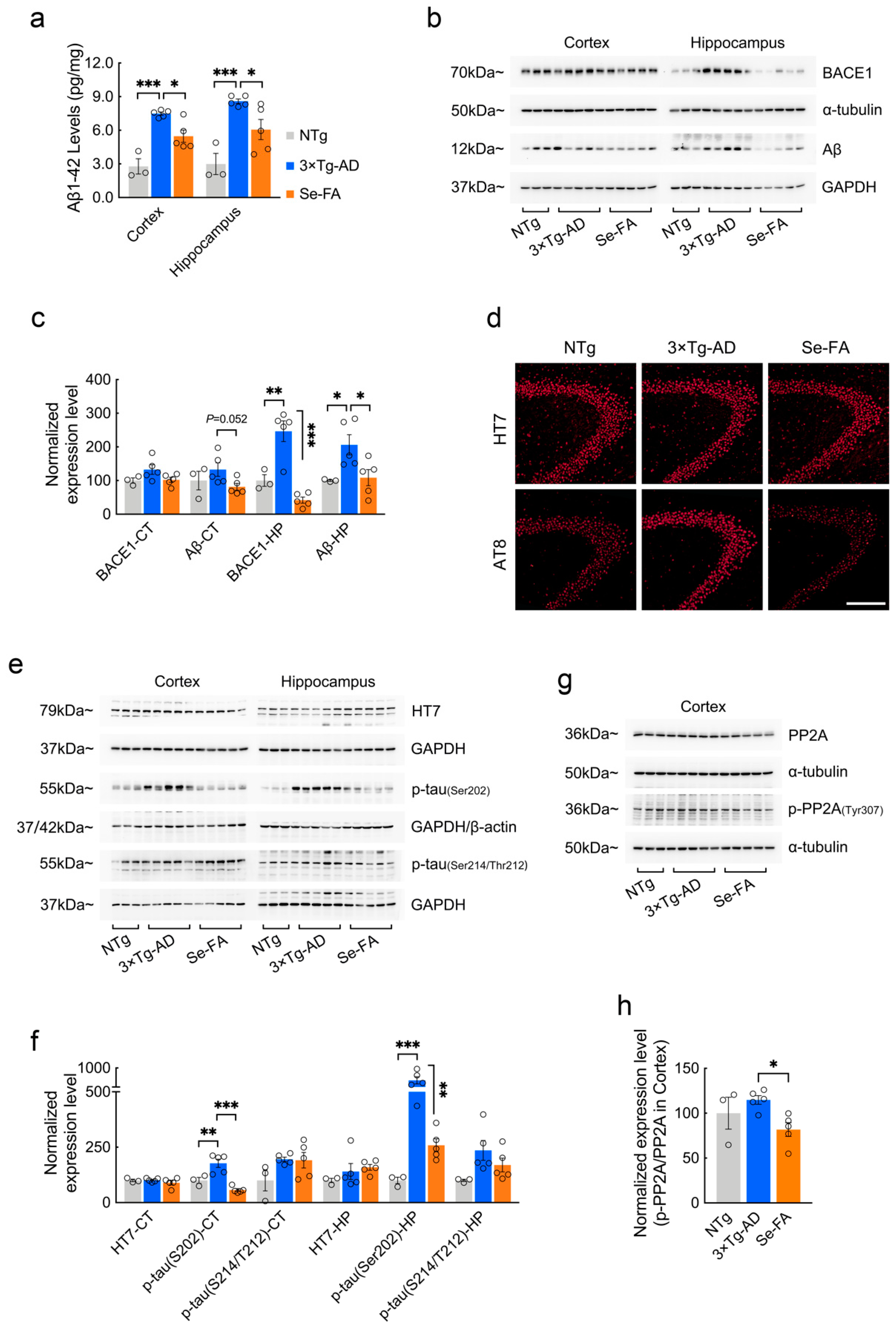 Antioxidants 11 00829 g005