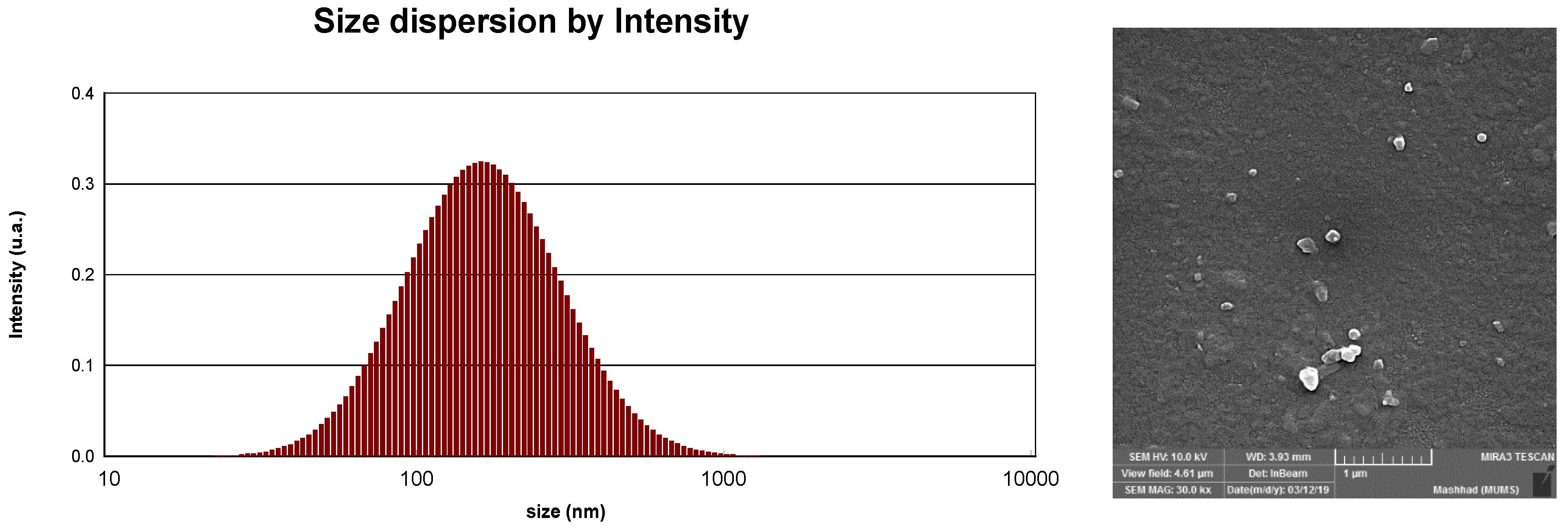 Antioxidants 11 00831 g001