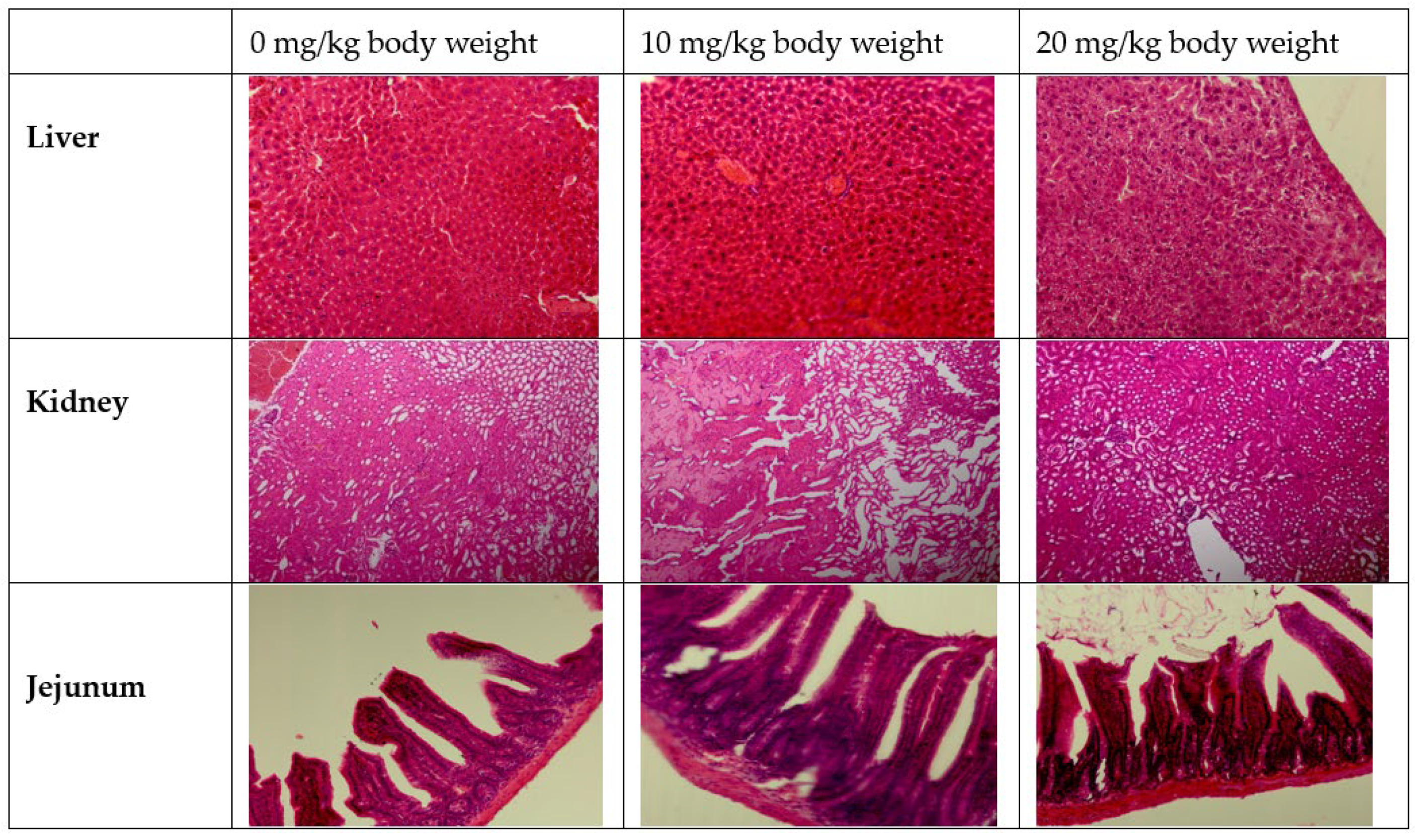 Antioxidants 11 00831 g006