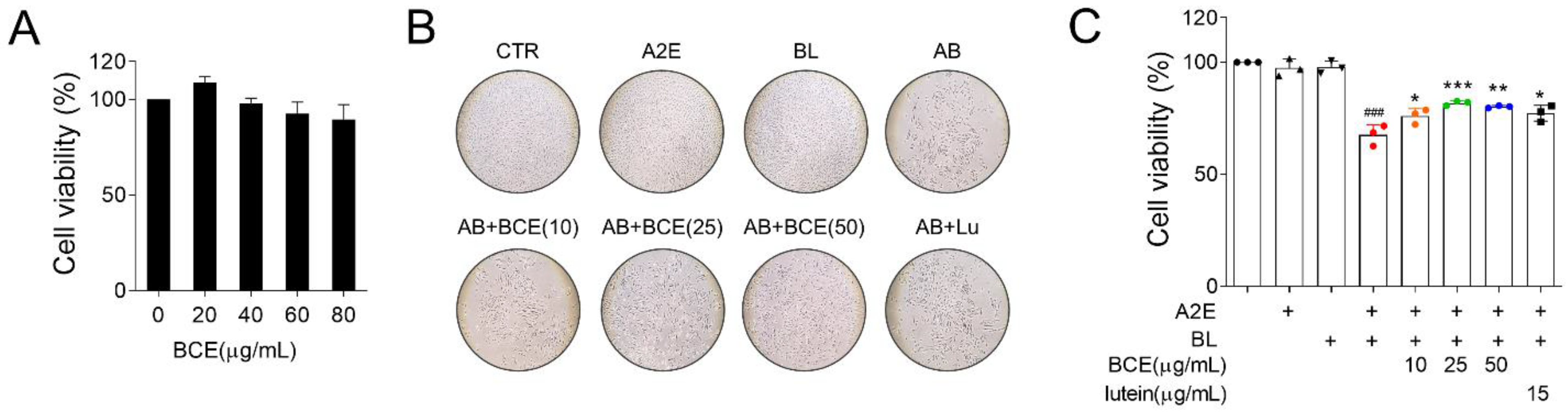 Antioxidants 11 00832 g001