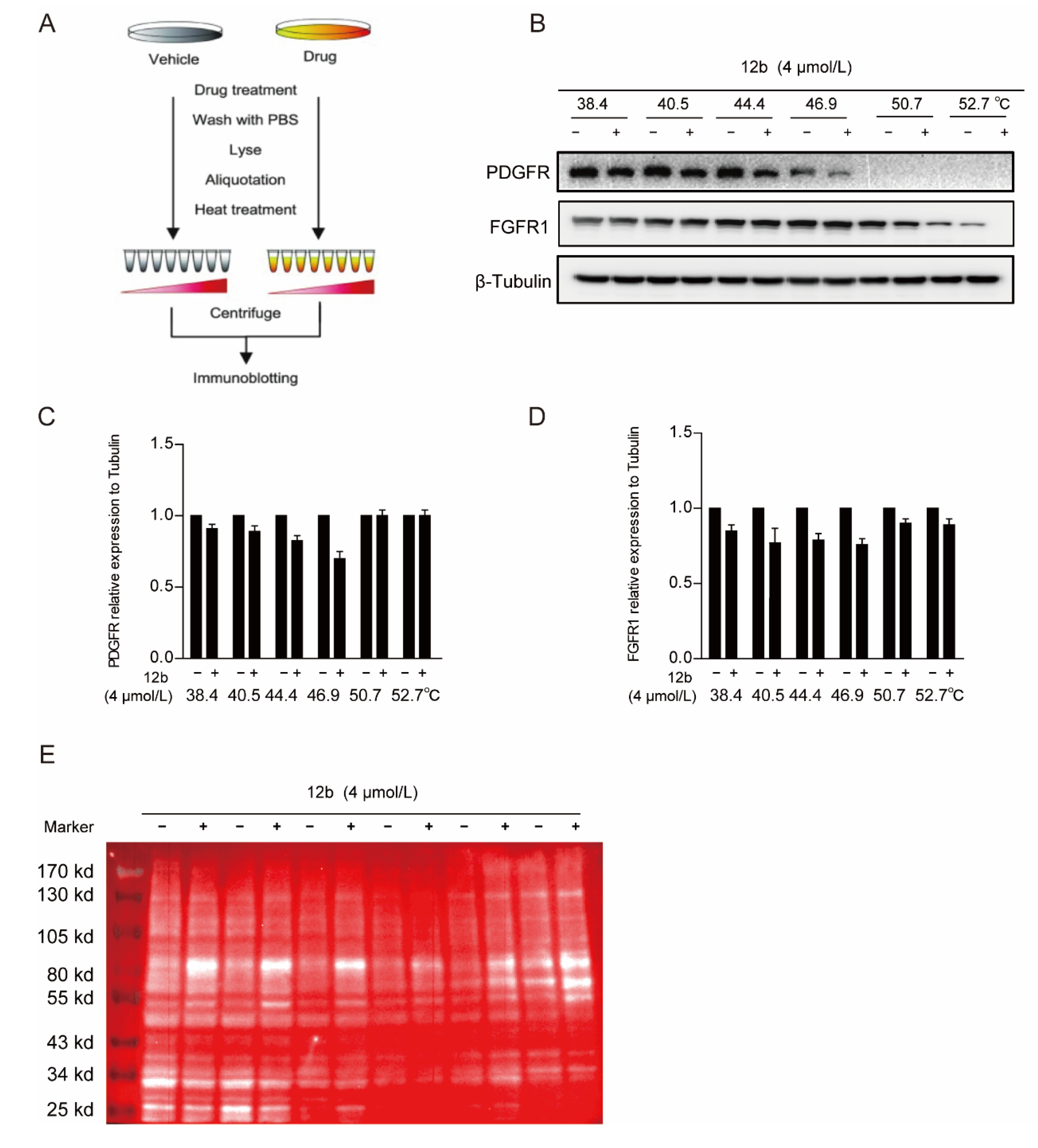 Antioxidants 11 00834 g005