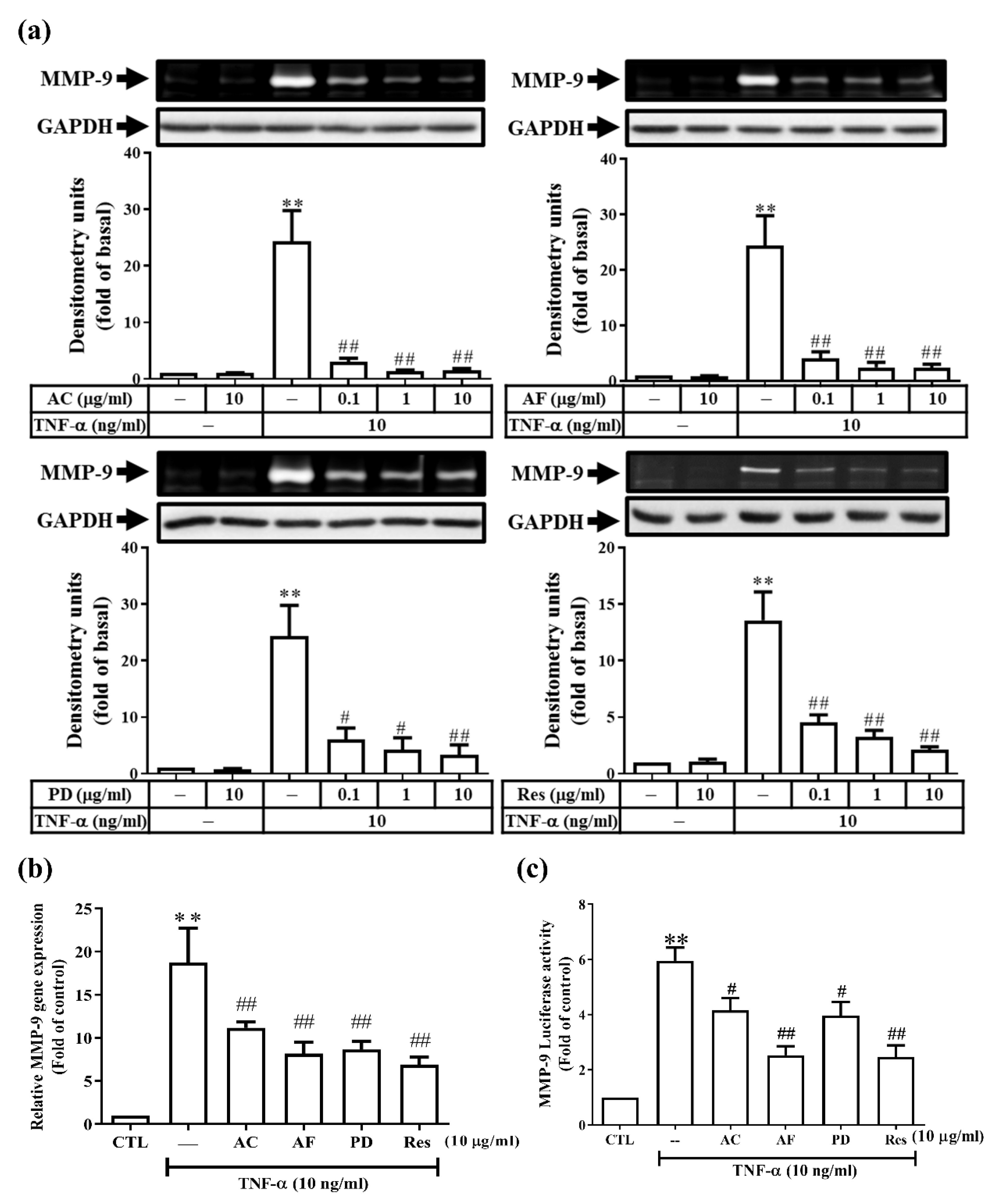 Antioxidants 11 00835 g001