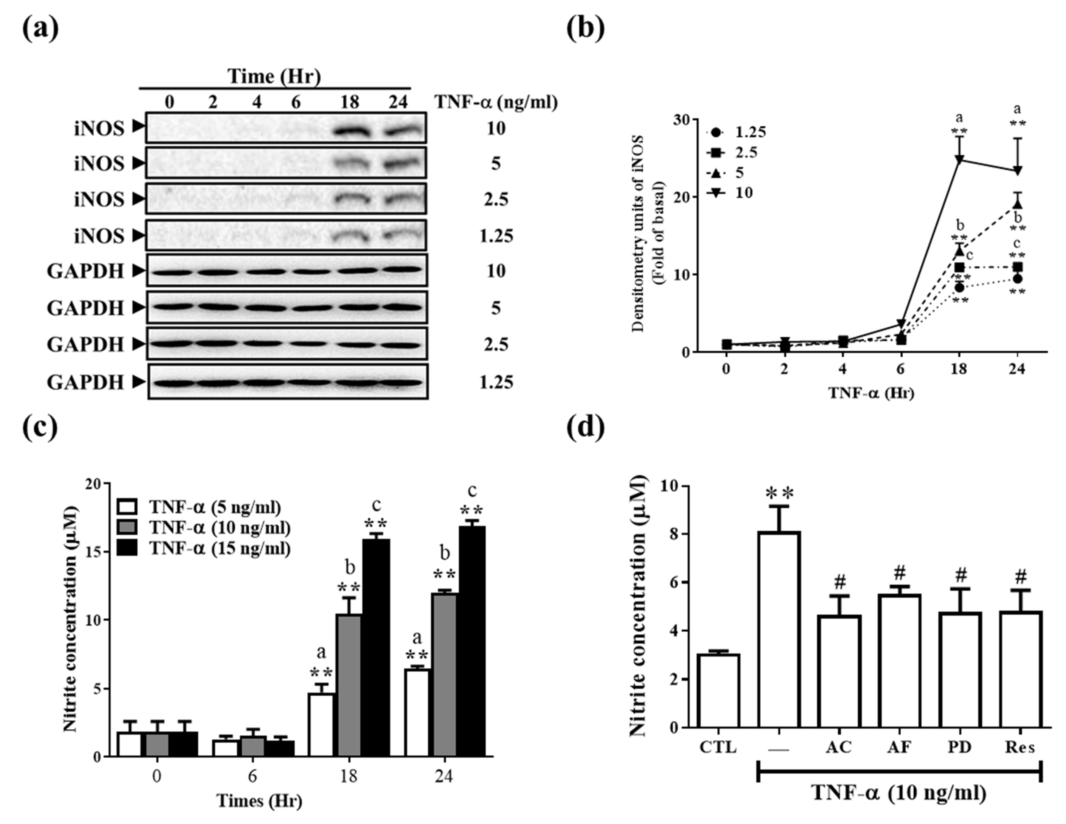Antioxidants 11 00835 g004