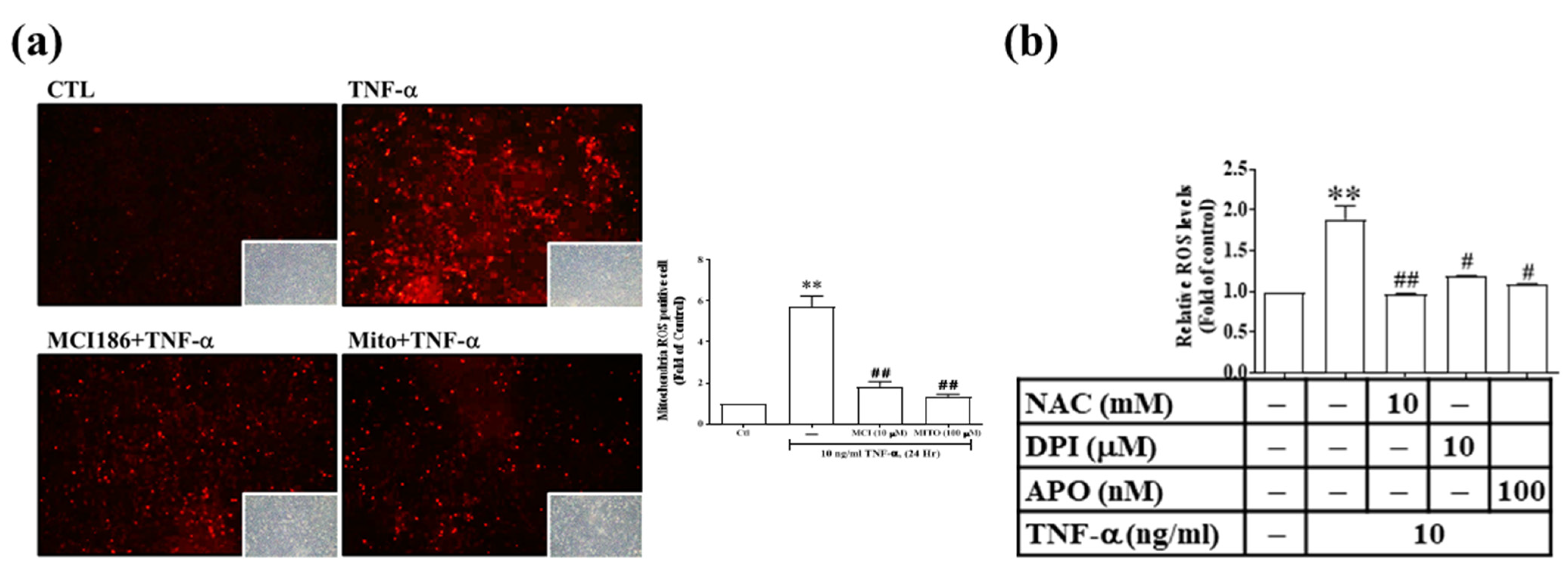 Antioxidants 11 00835 g005a