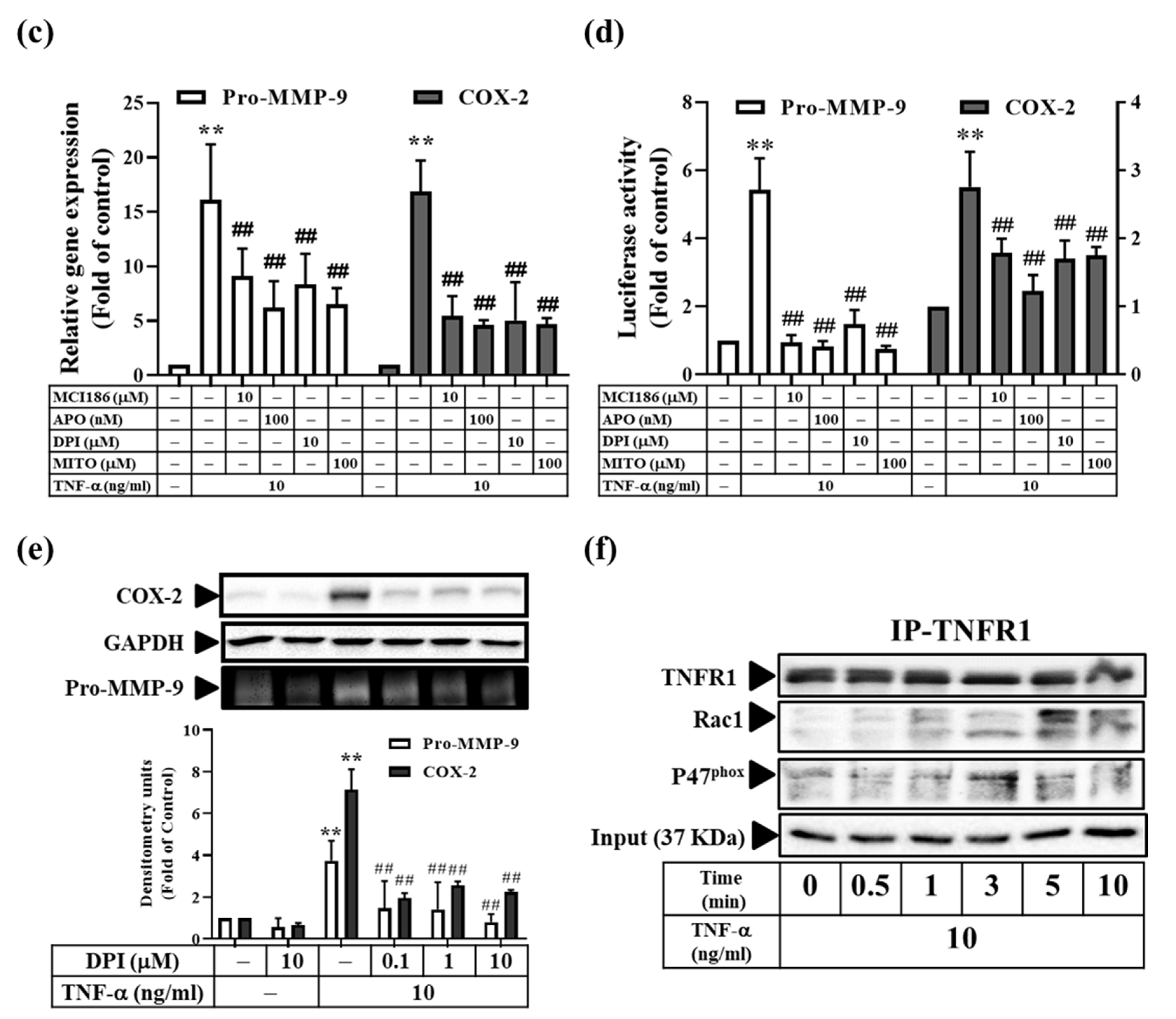Antioxidants 11 00835 g005b