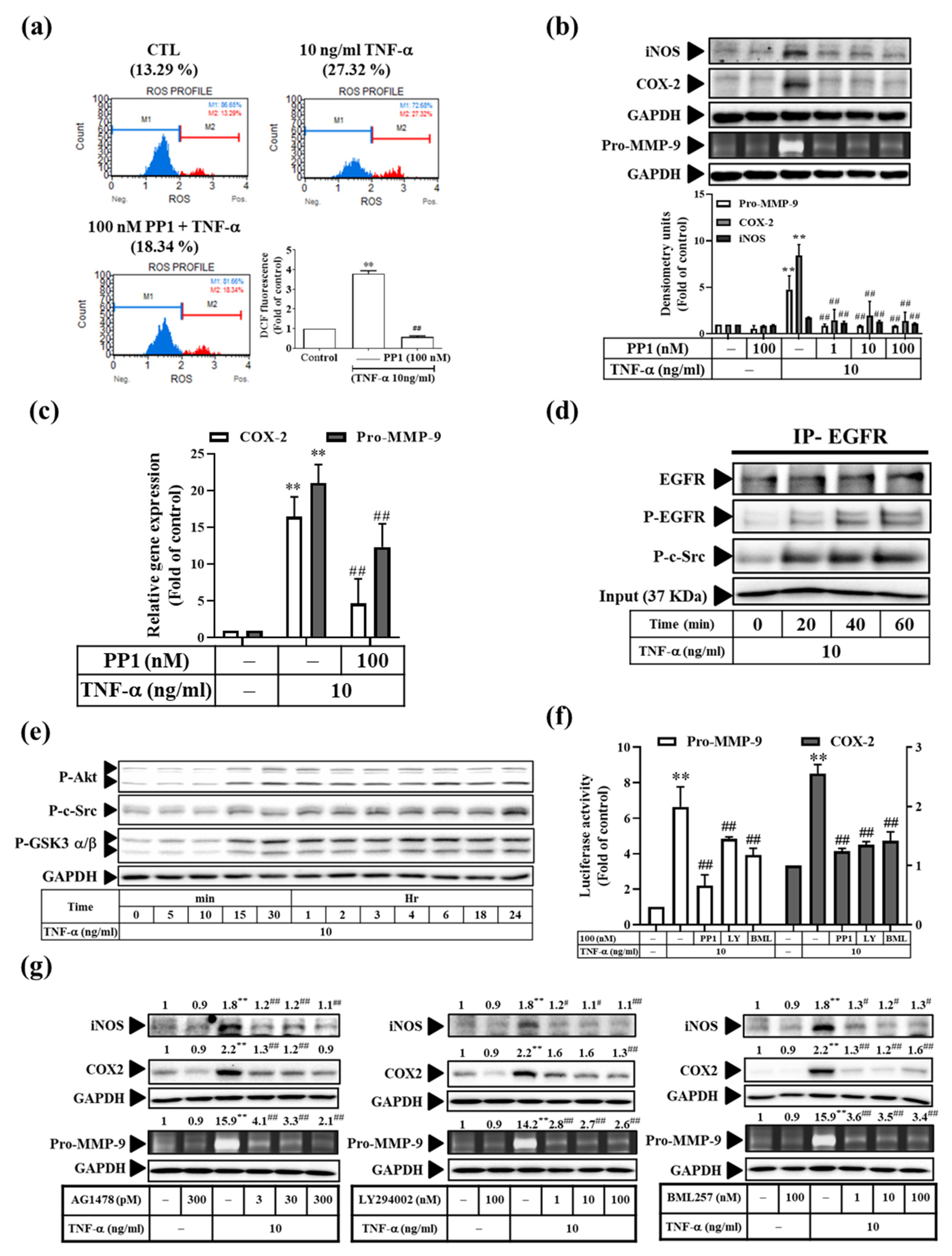 Antioxidants 11 00835 g006