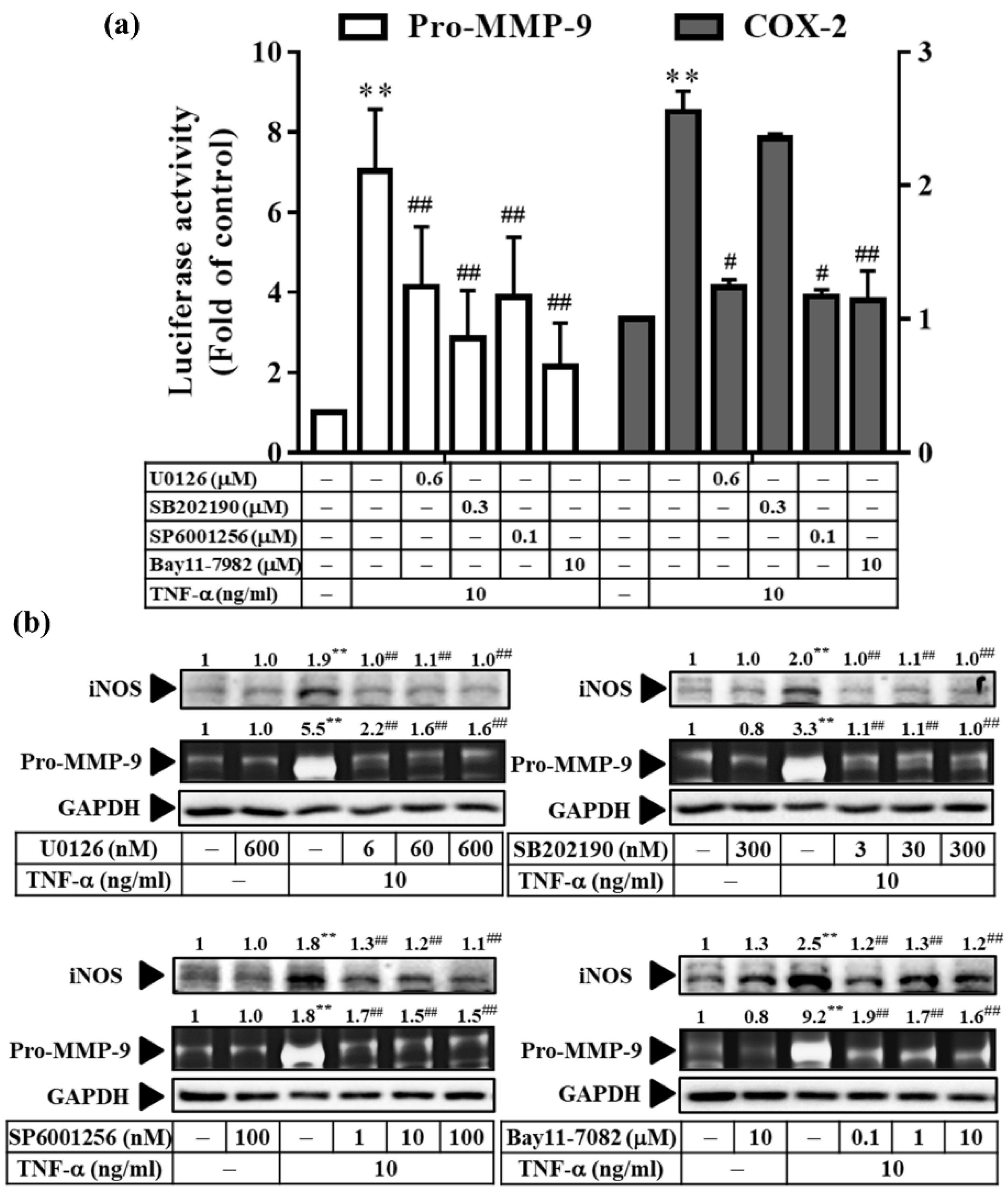 Antioxidants 11 00835 g007
