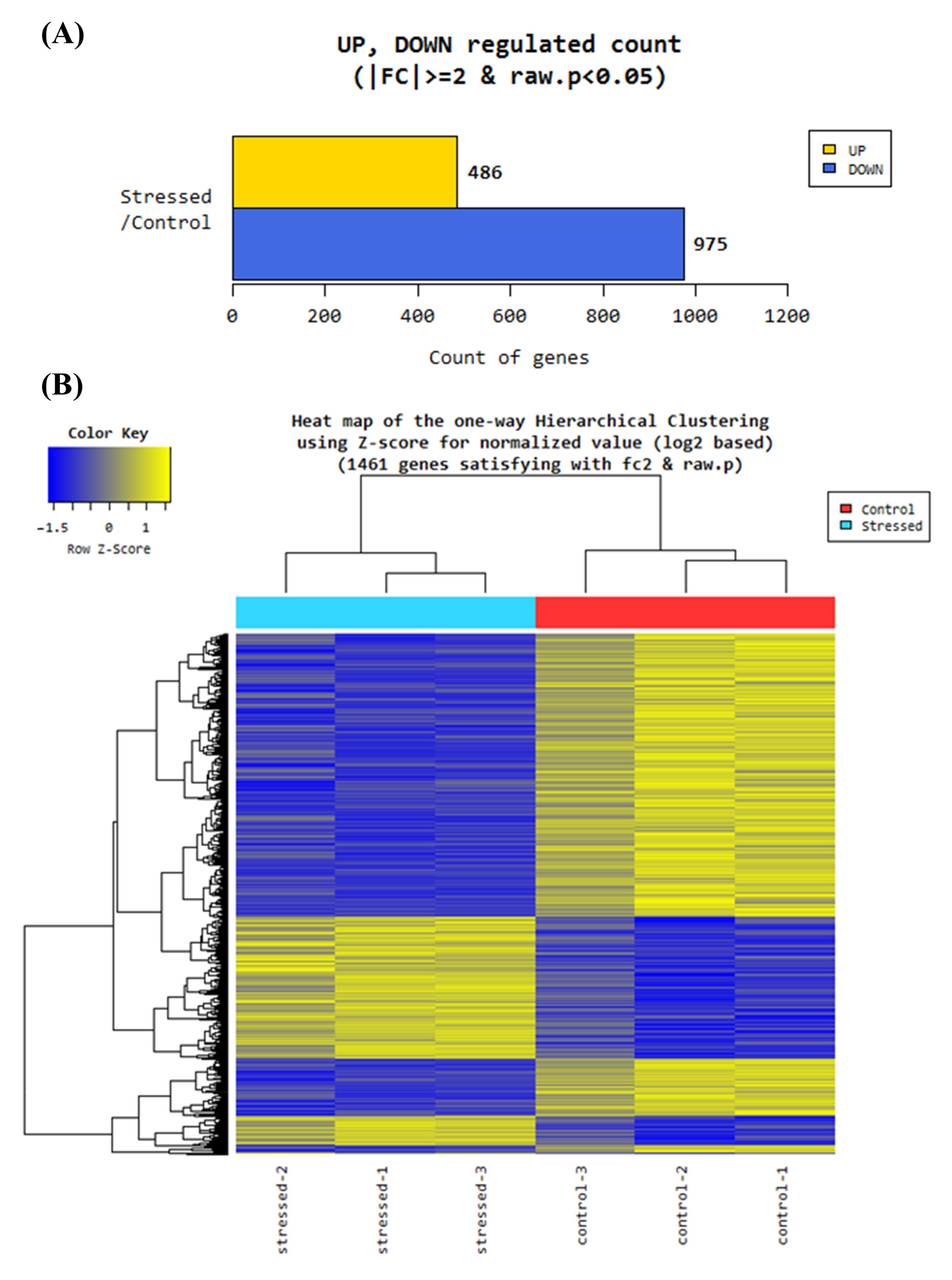 Antioxidants 11 00836 g003