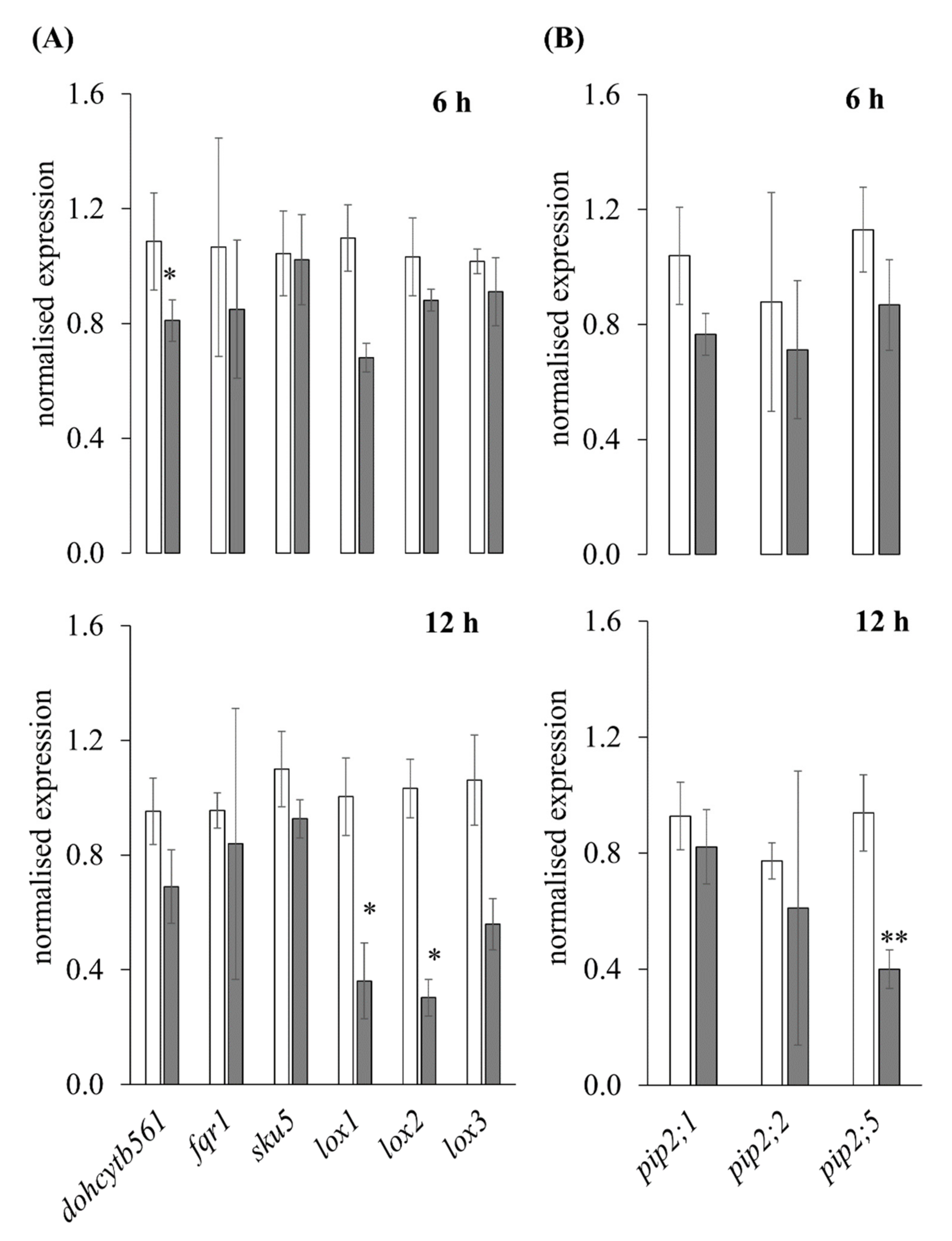 Antioxidants 11 00836 g006