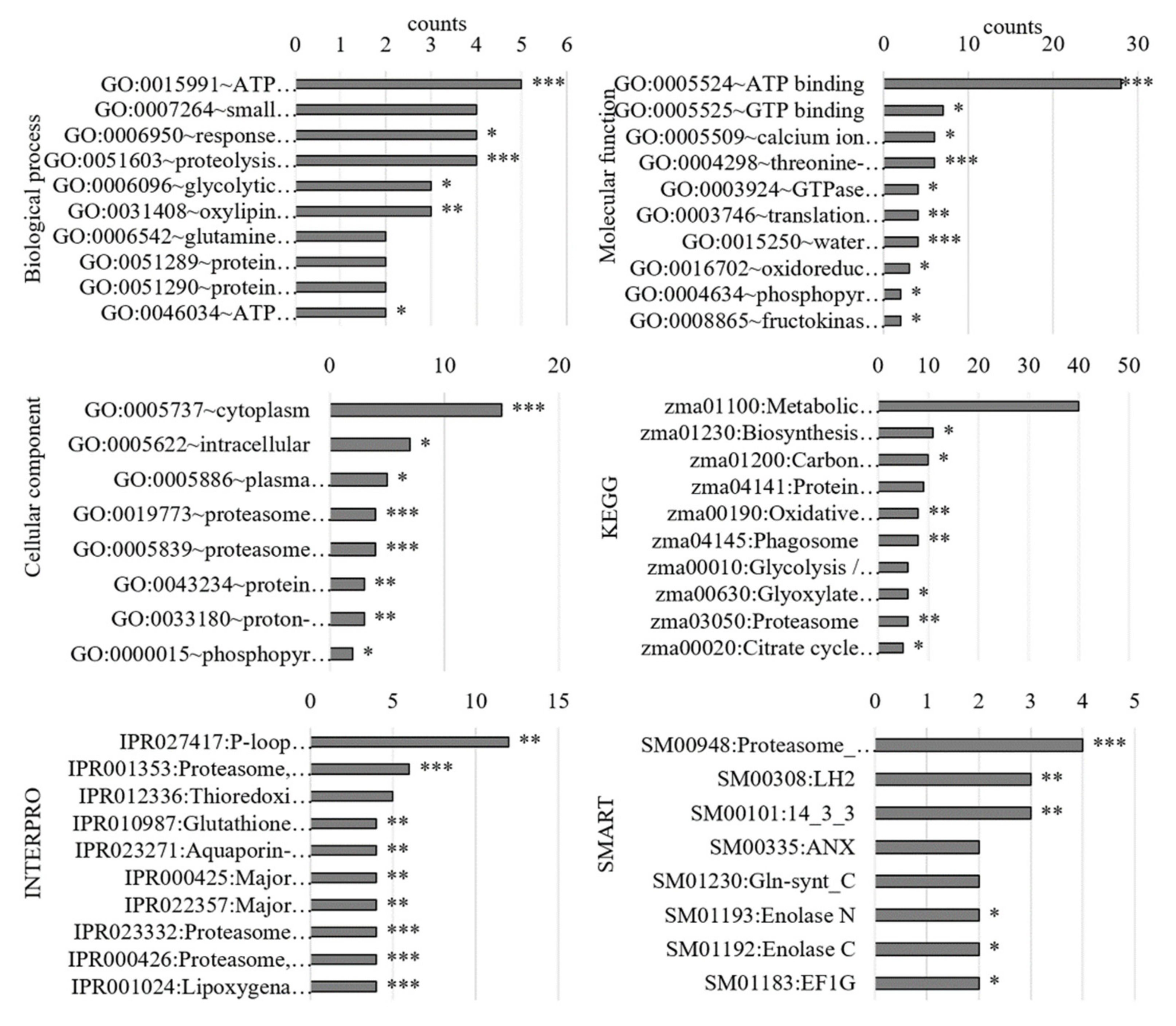 Antioxidants 11 00836 g008