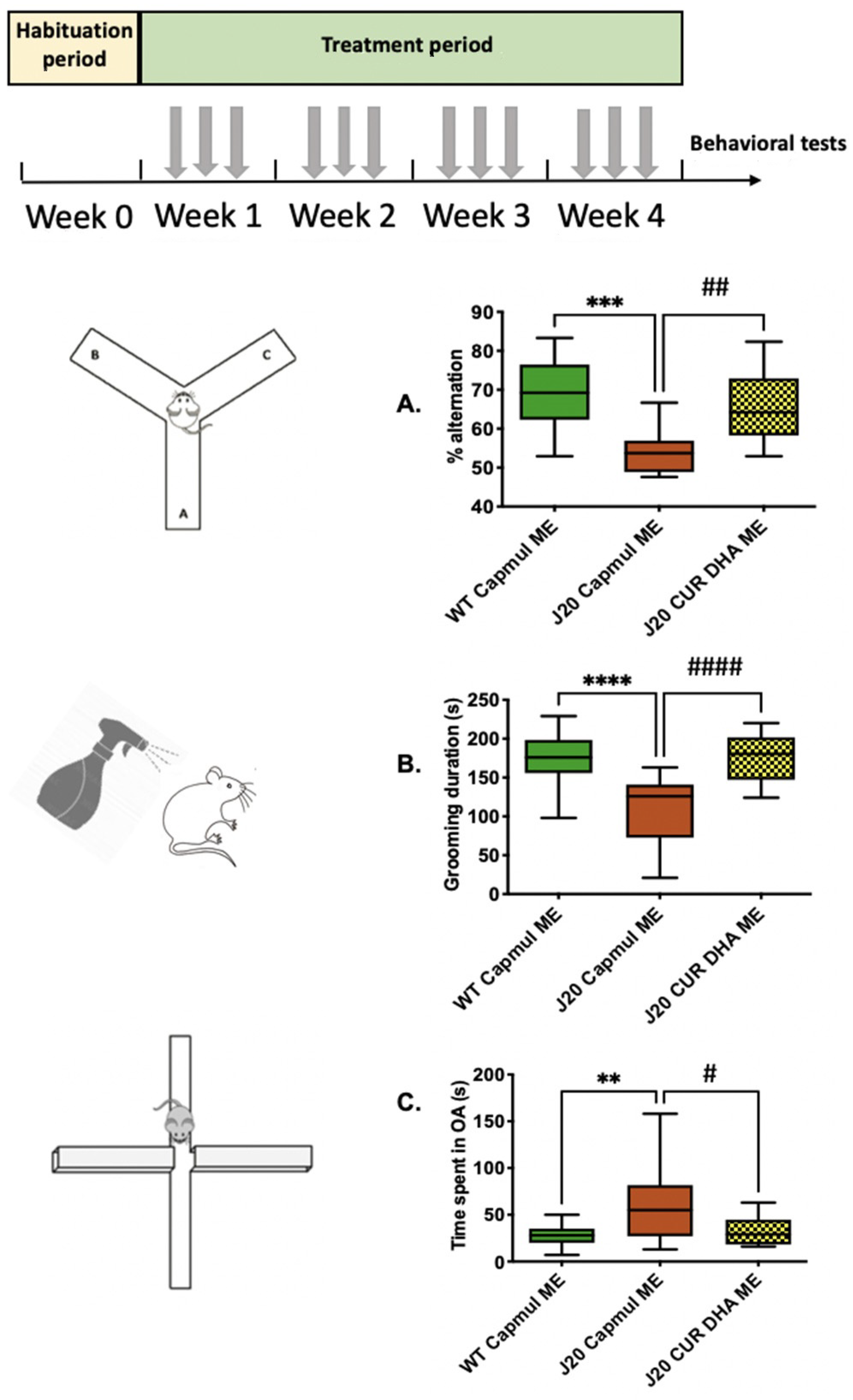Antioxidants 11 00838 g004