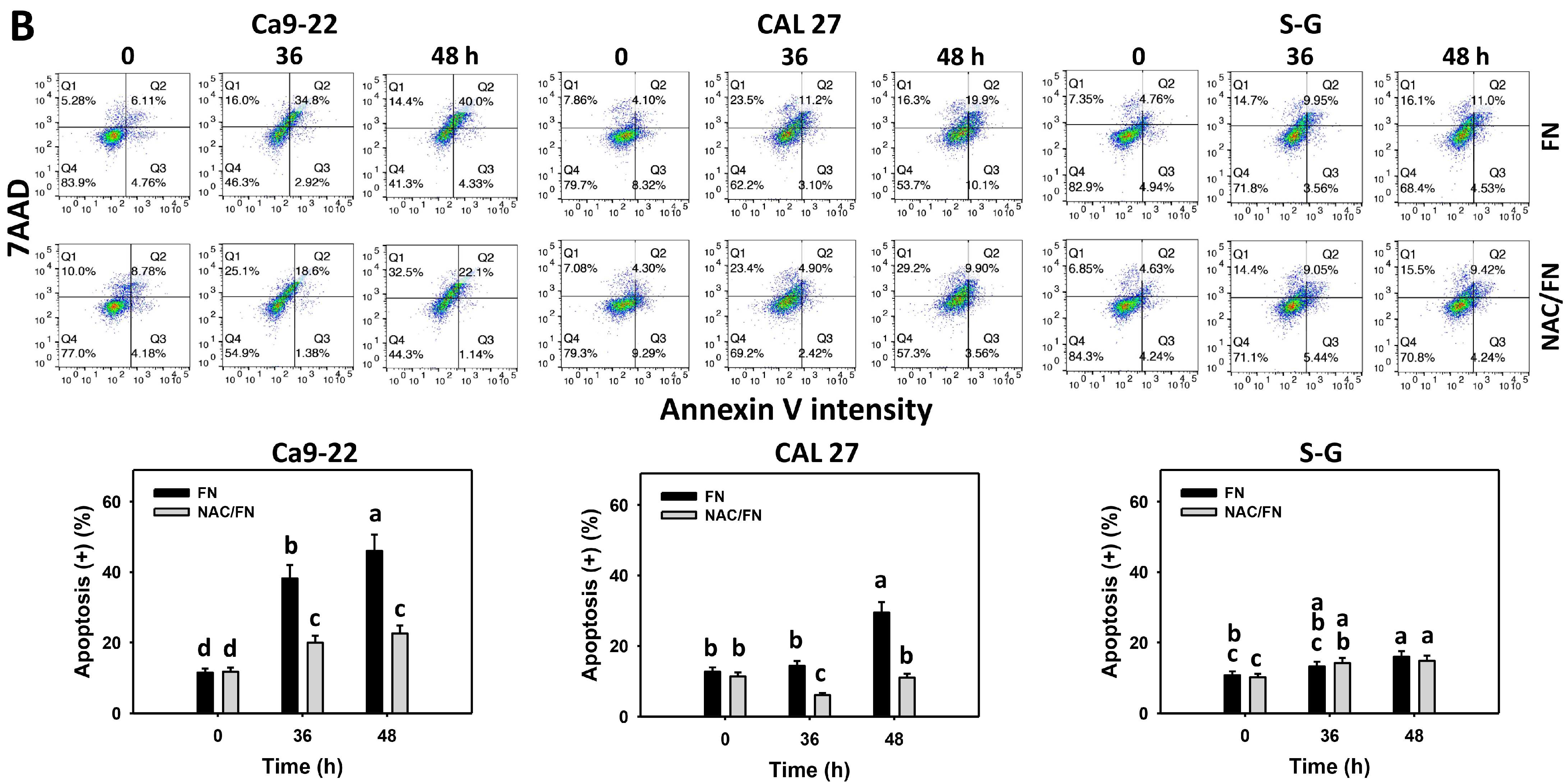 Antioxidants 11 00841 g003b