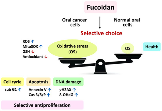Antioxidants 11 00841 g010 550