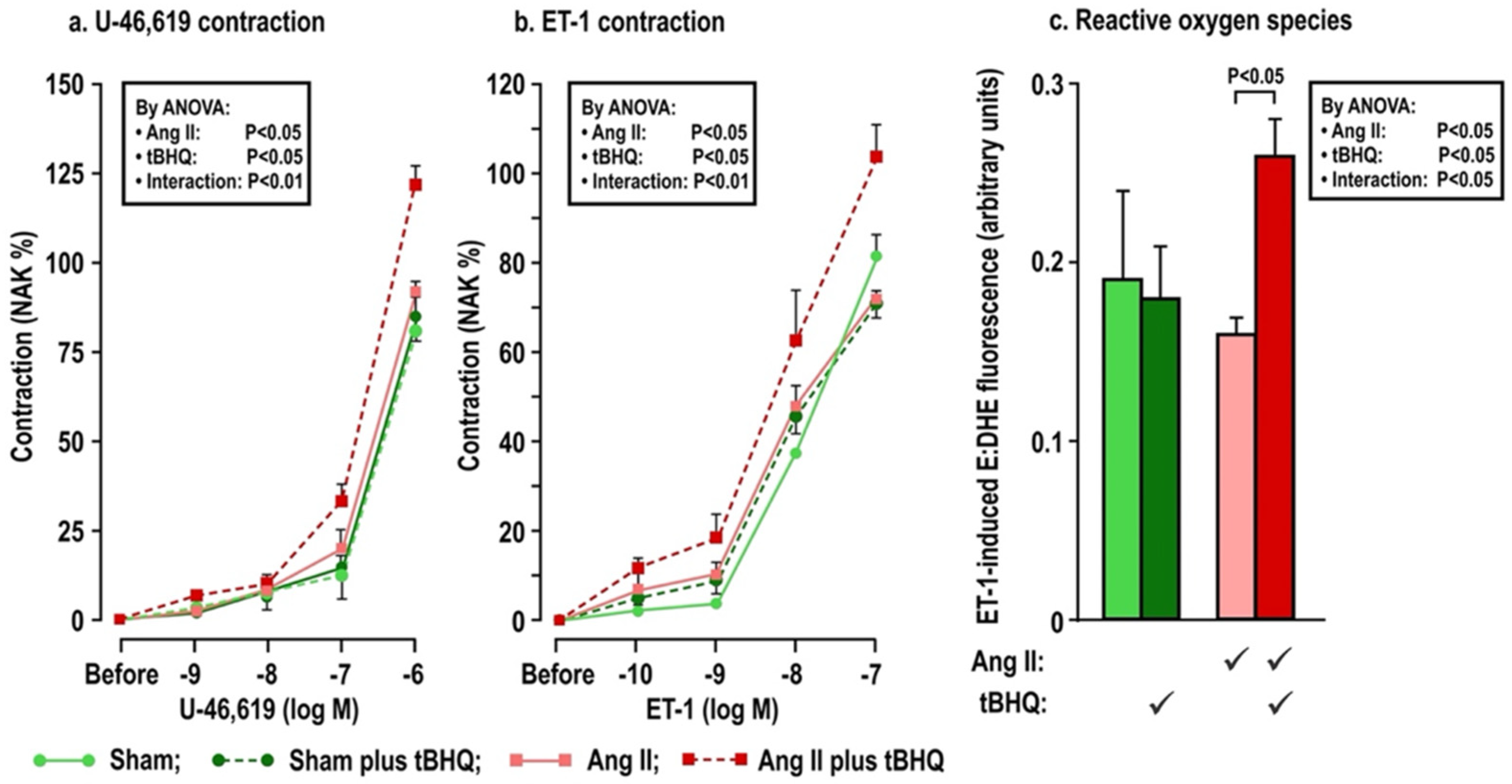 Antioxidants 11 00845 g002