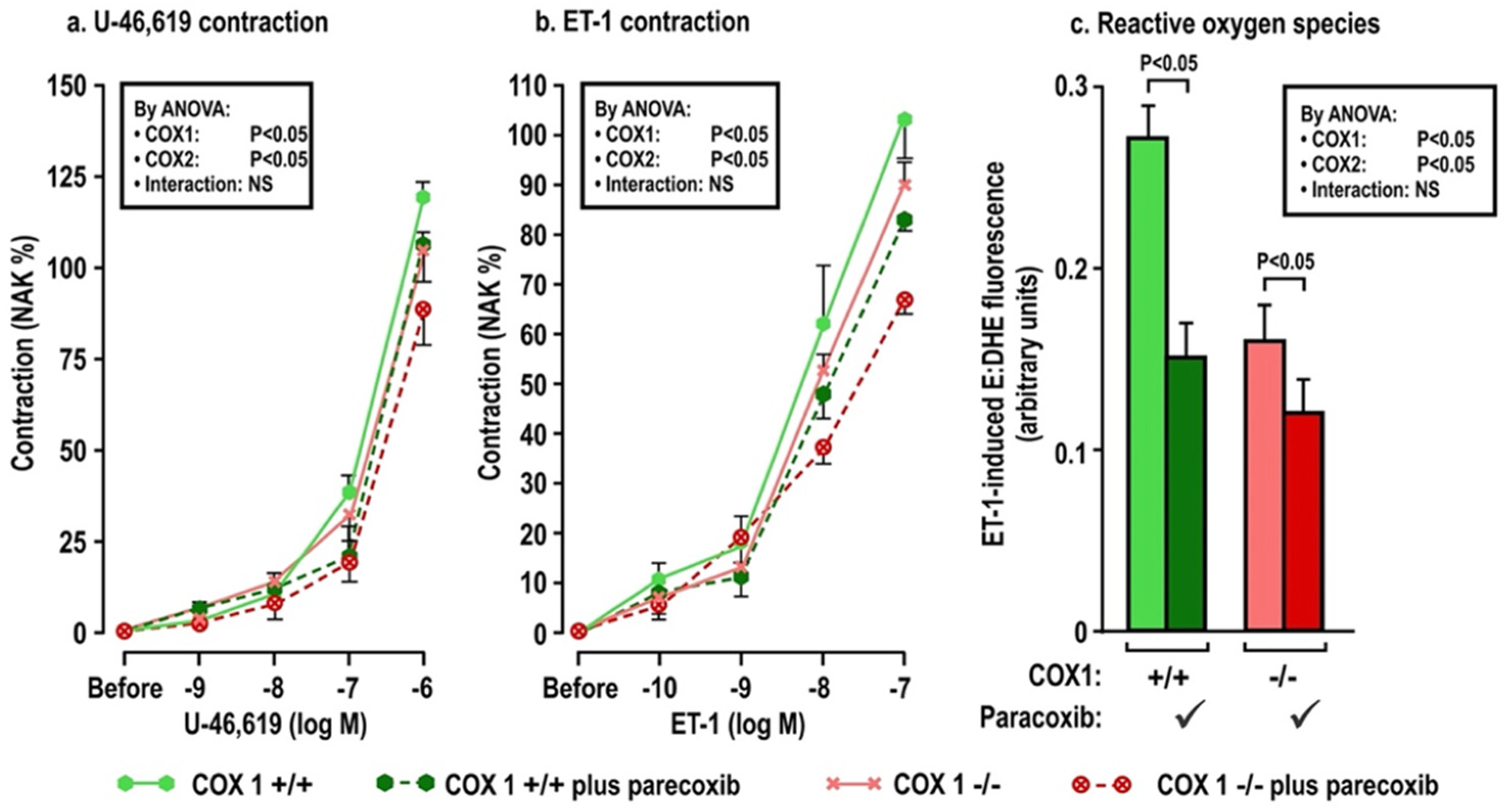 Antioxidants 11 00845 g004