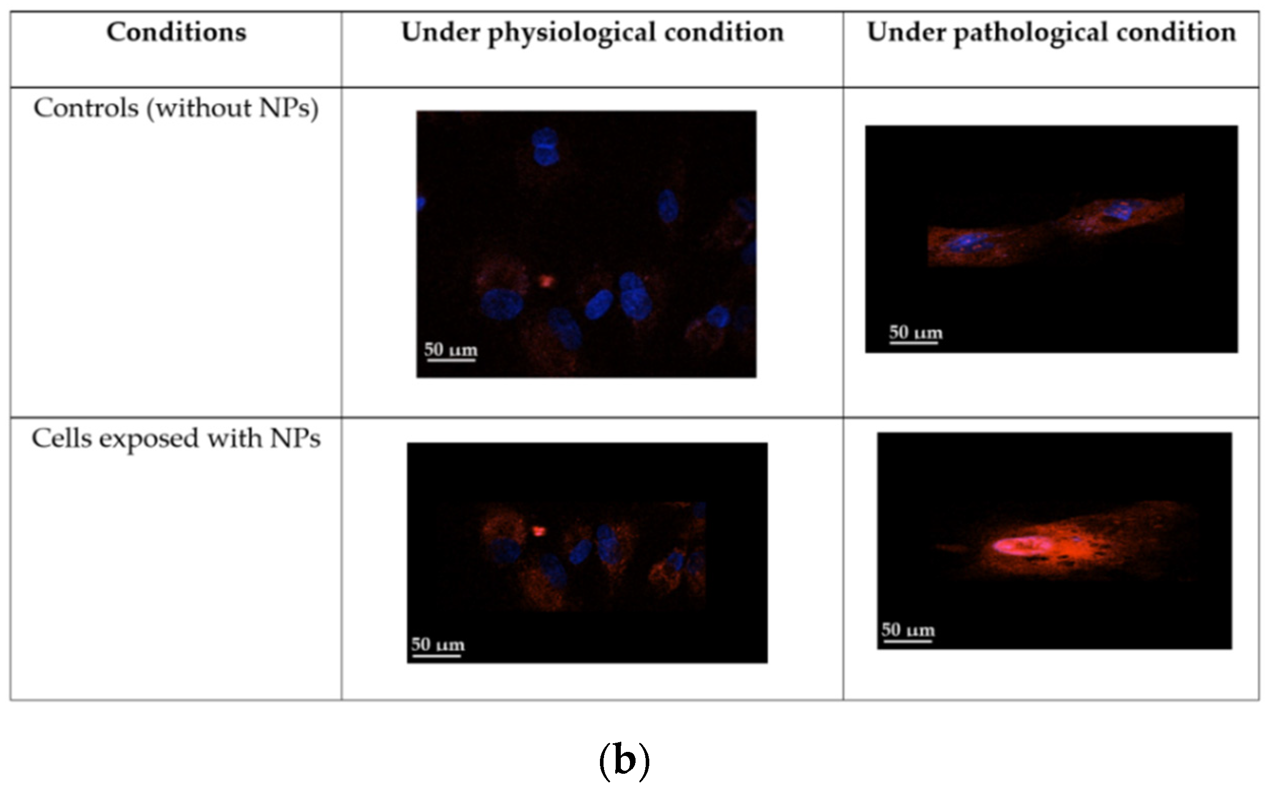 Antioxidants 11 00847 g003b