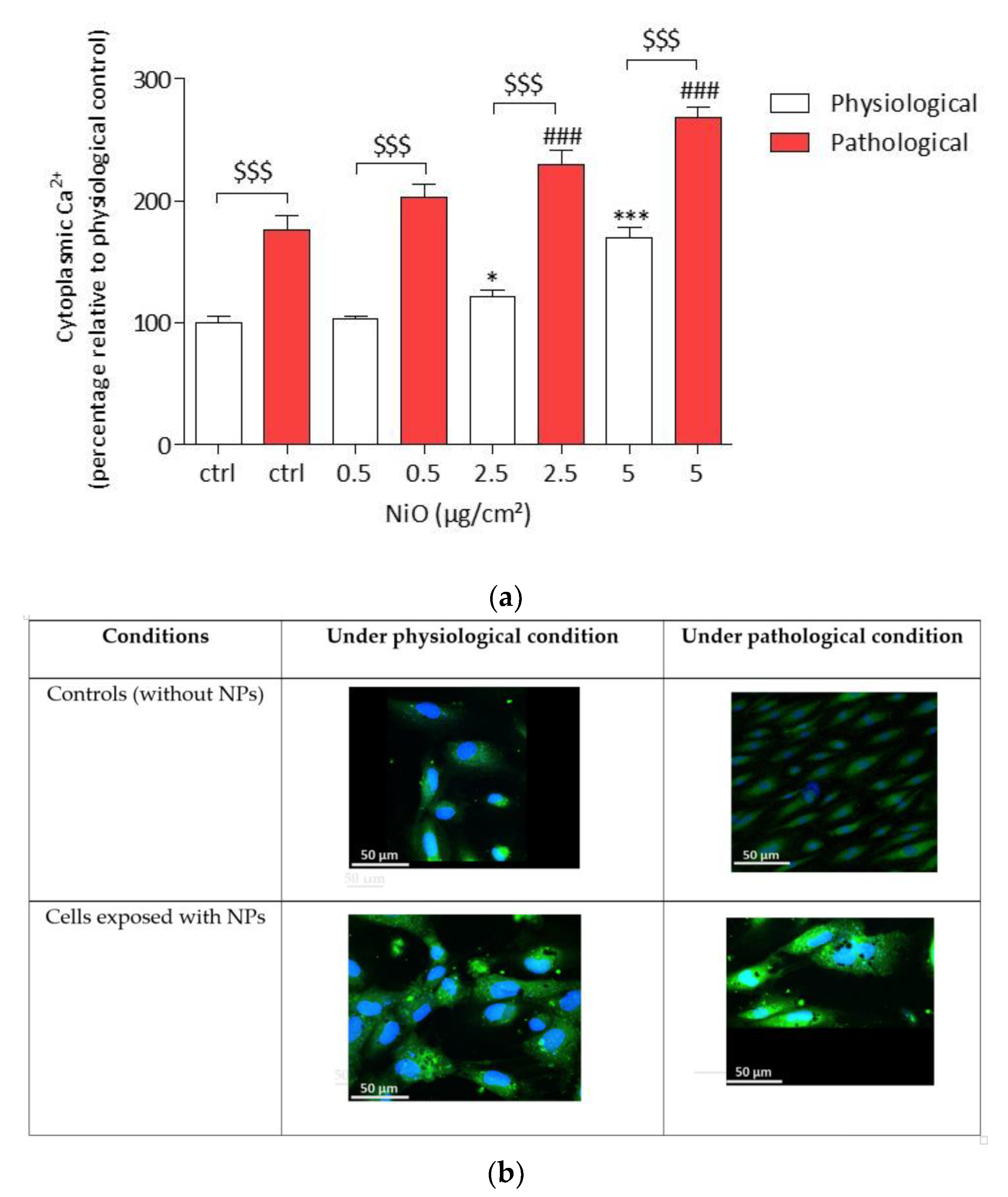 Antioxidants 11 00847 g006