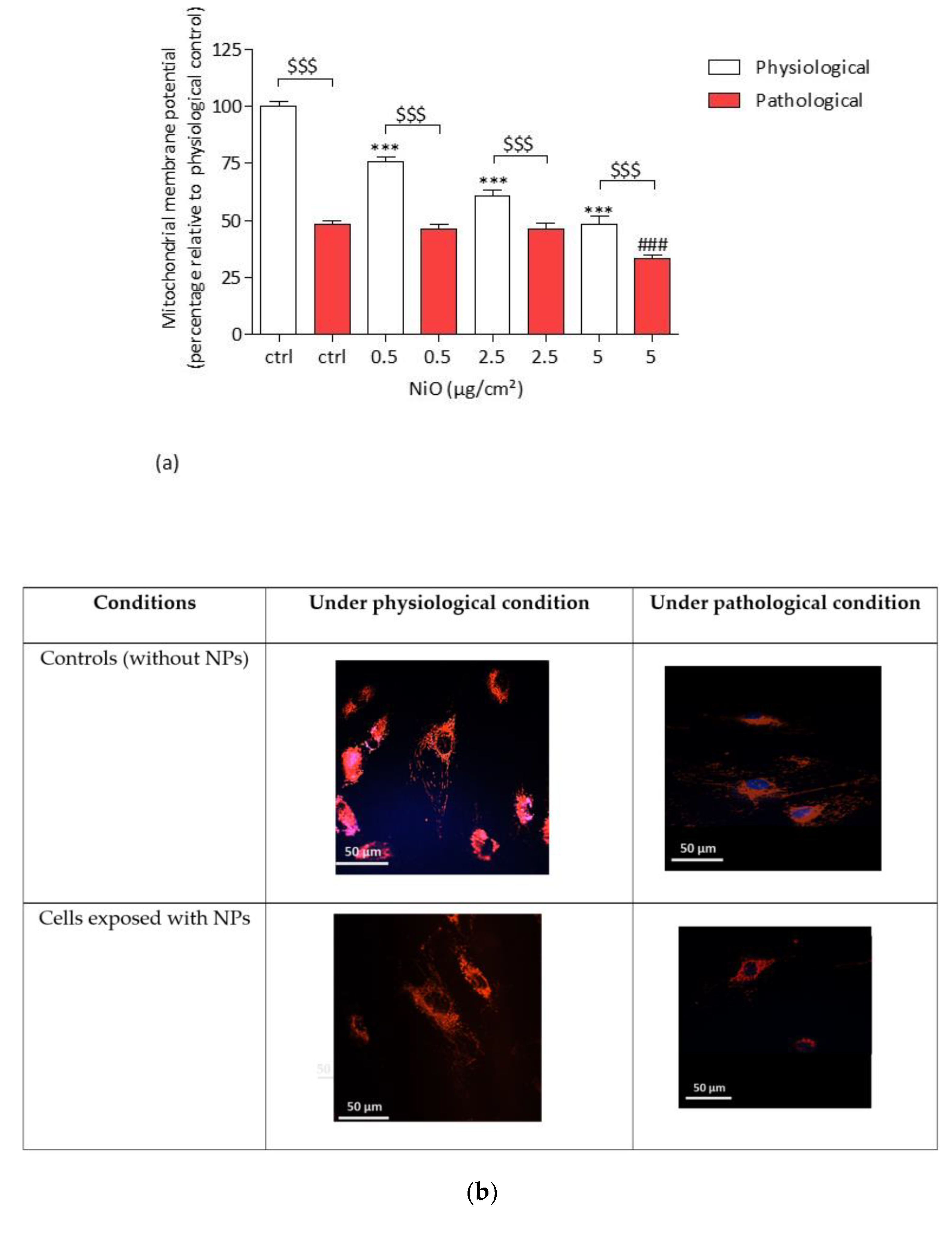 Antioxidants 11 00847 g007a