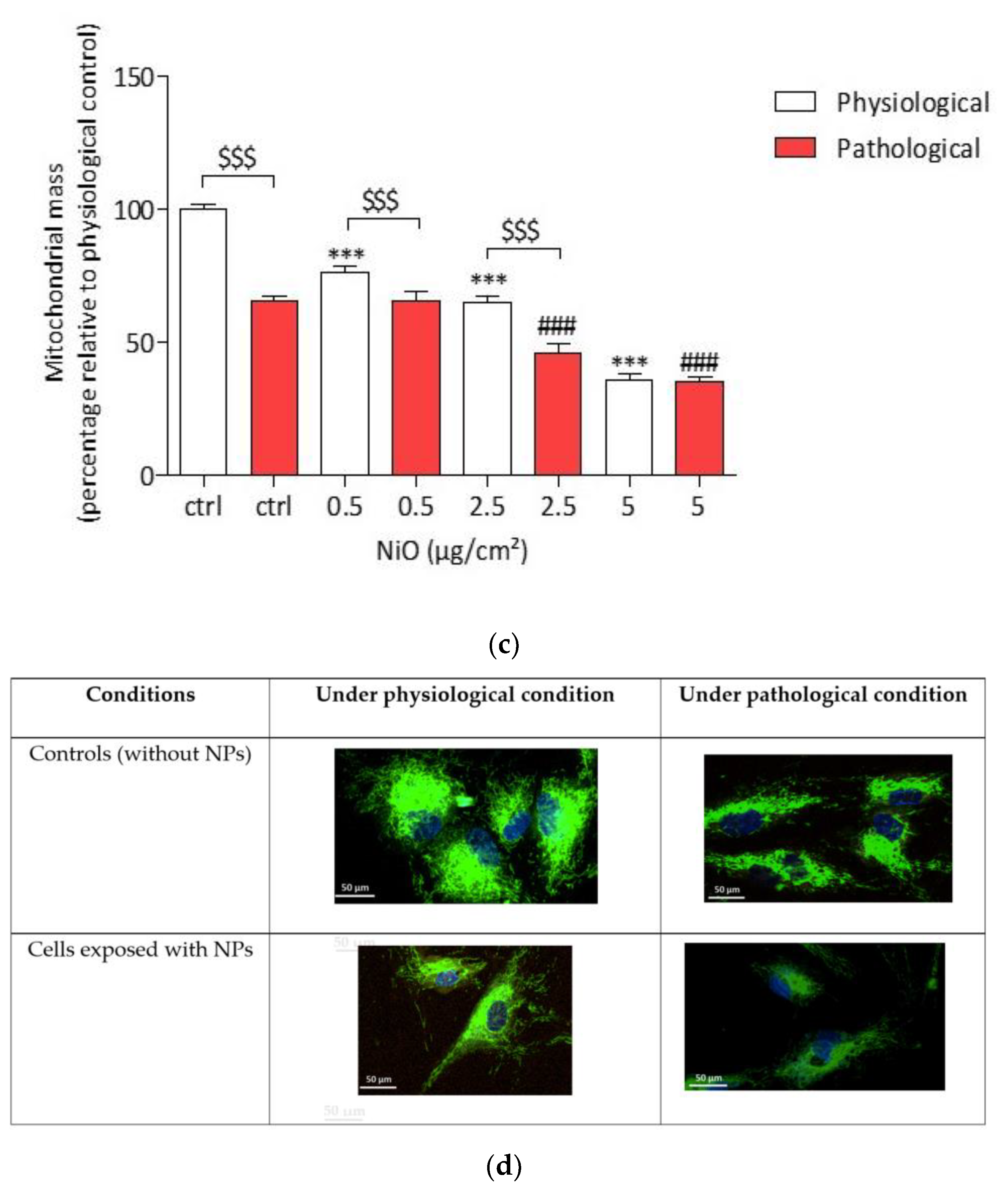 Antioxidants 11 00847 g007b