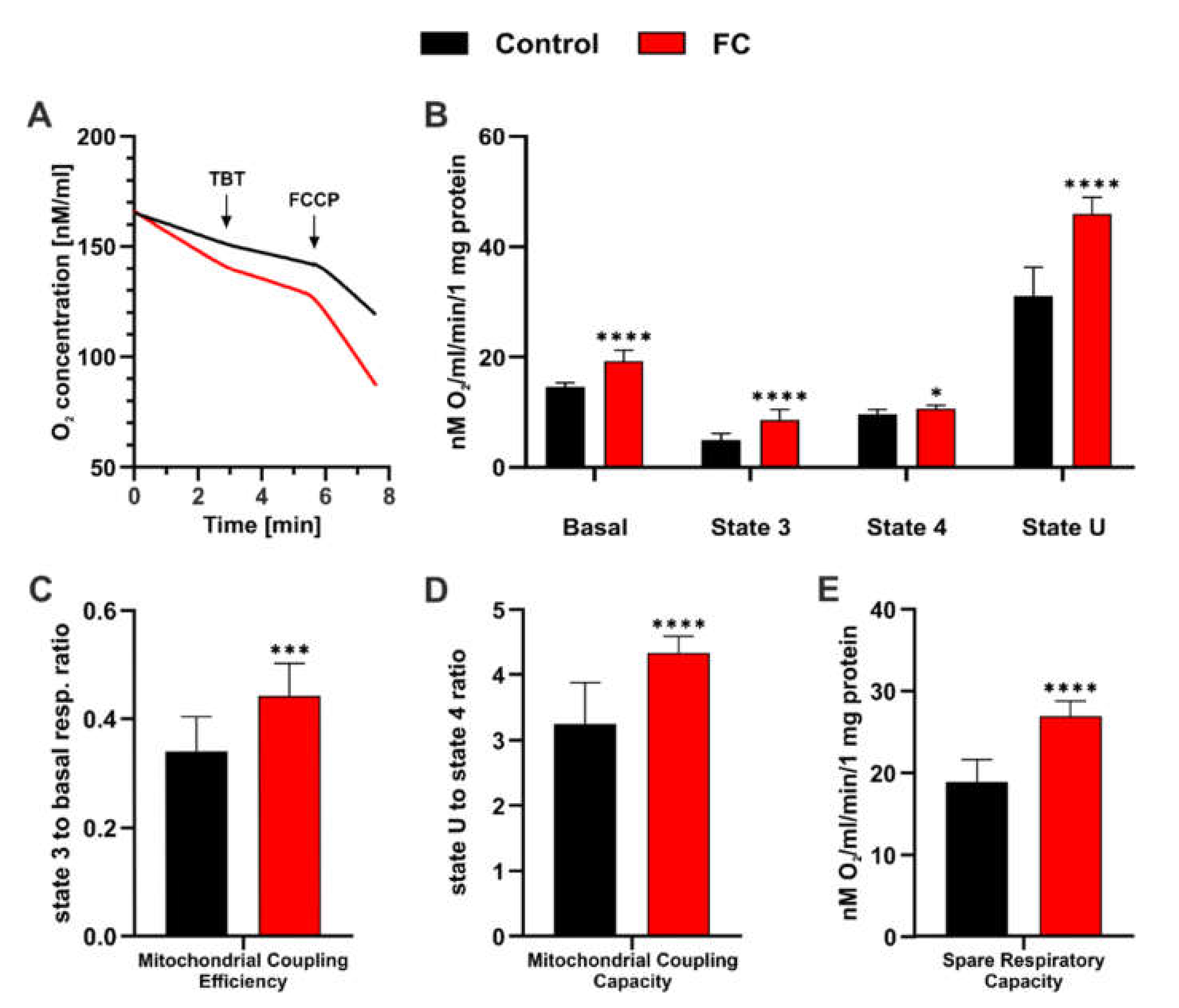 Antioxidants 11 00850 g004