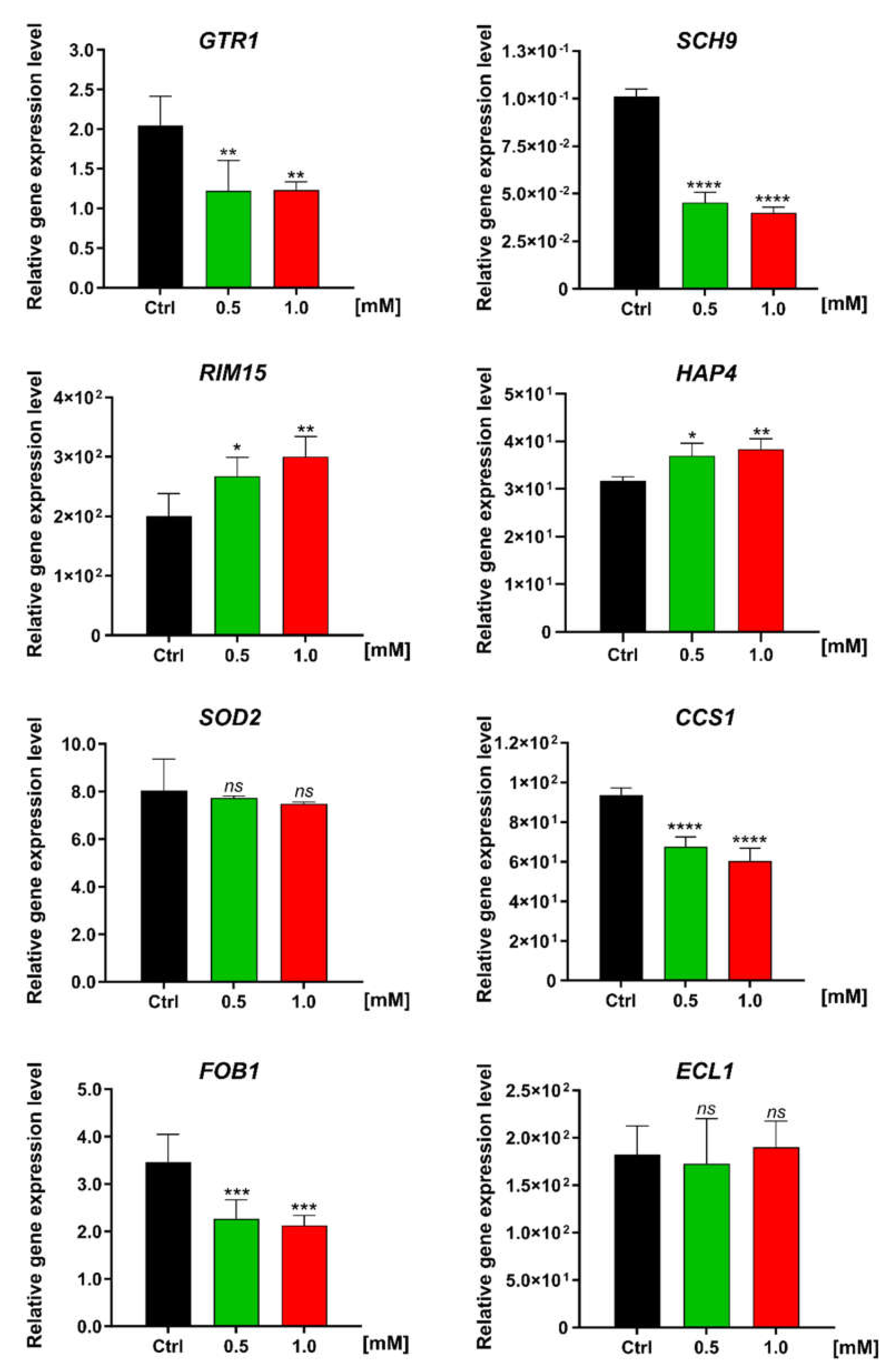 Antioxidants 11 00850 g008