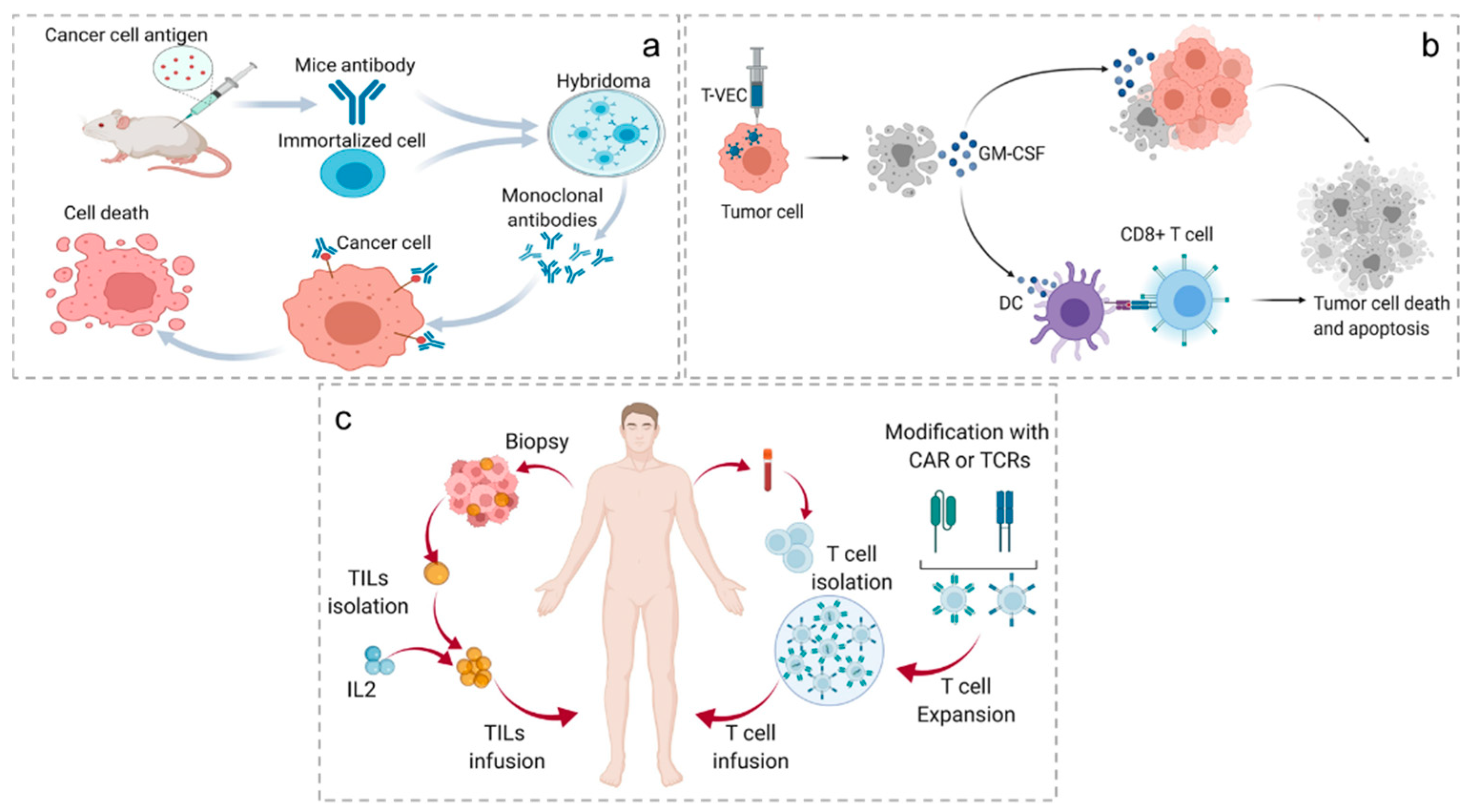 Antioxidants 11 00853 g003