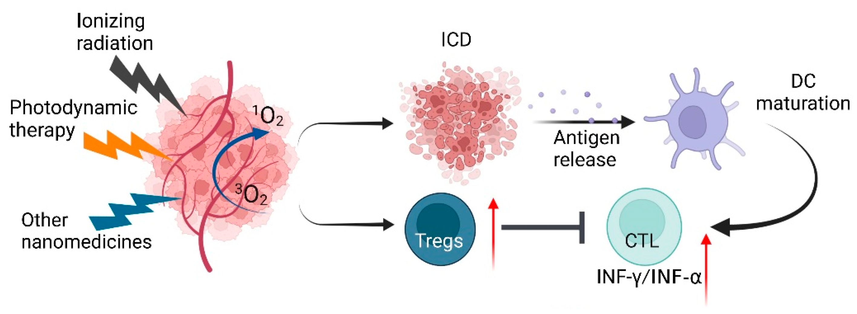Antioxidants 11 00853 g006