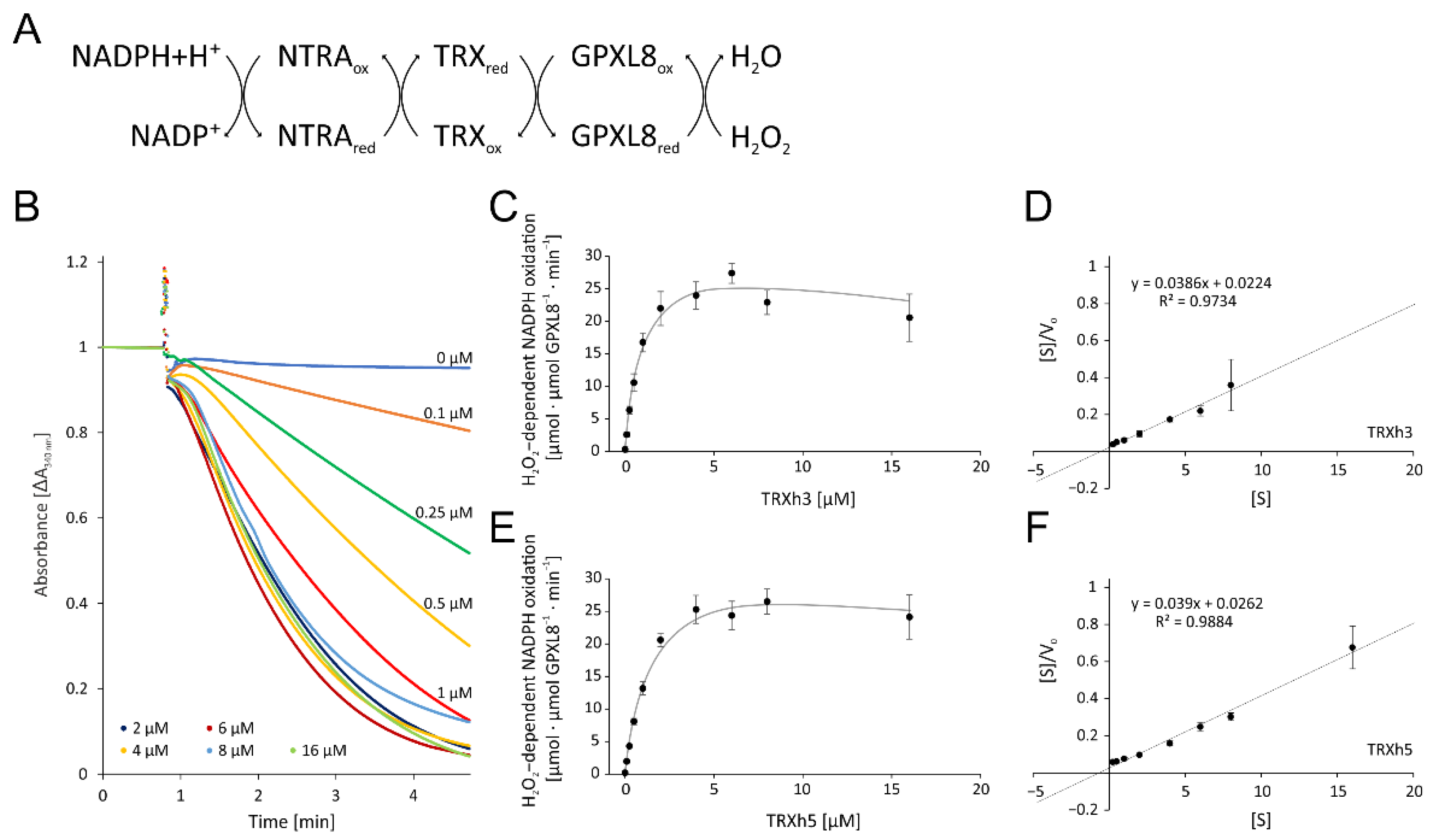 Antioxidants 11 00855 g005