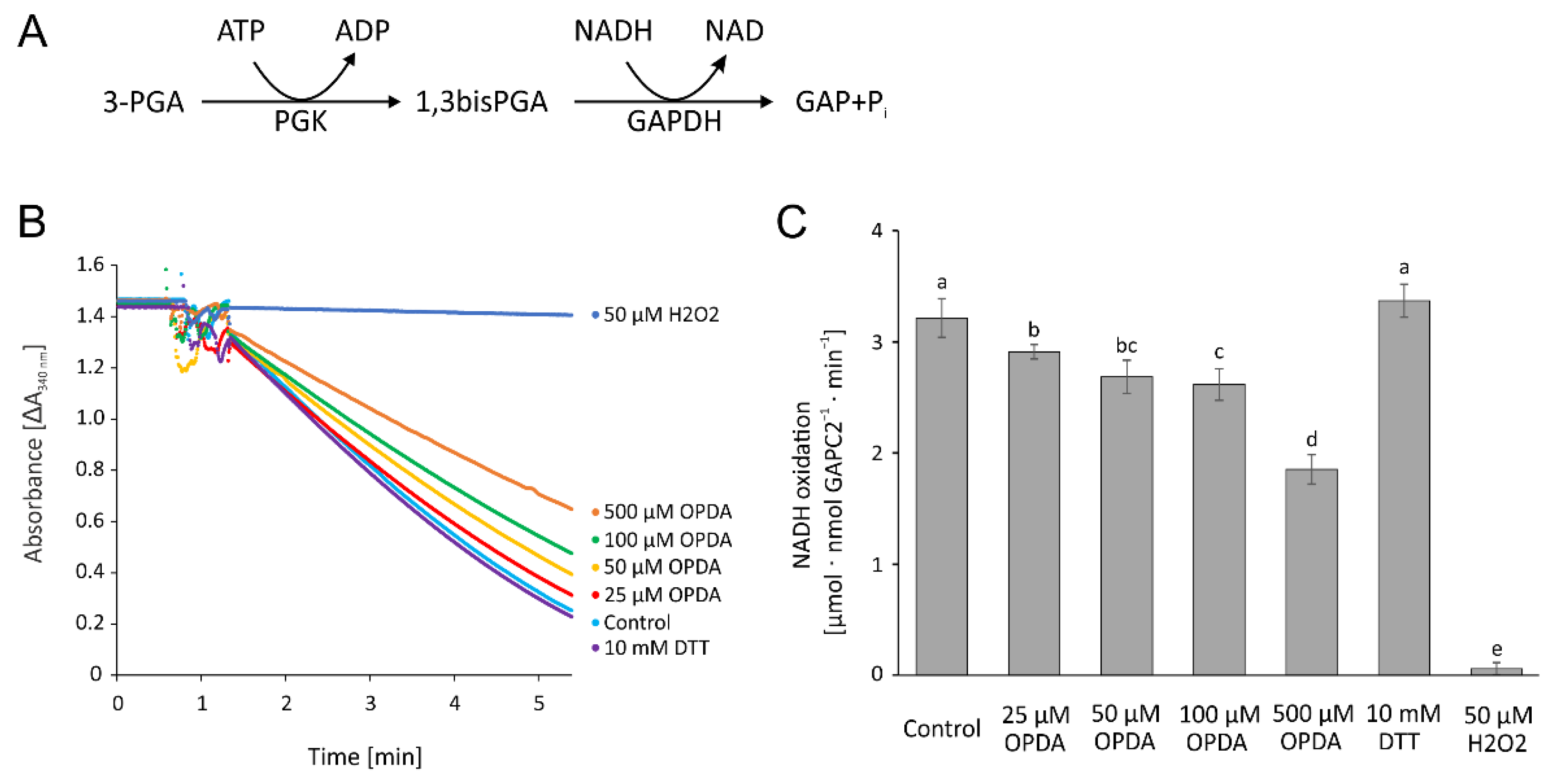 Antioxidants 11 00855 g011