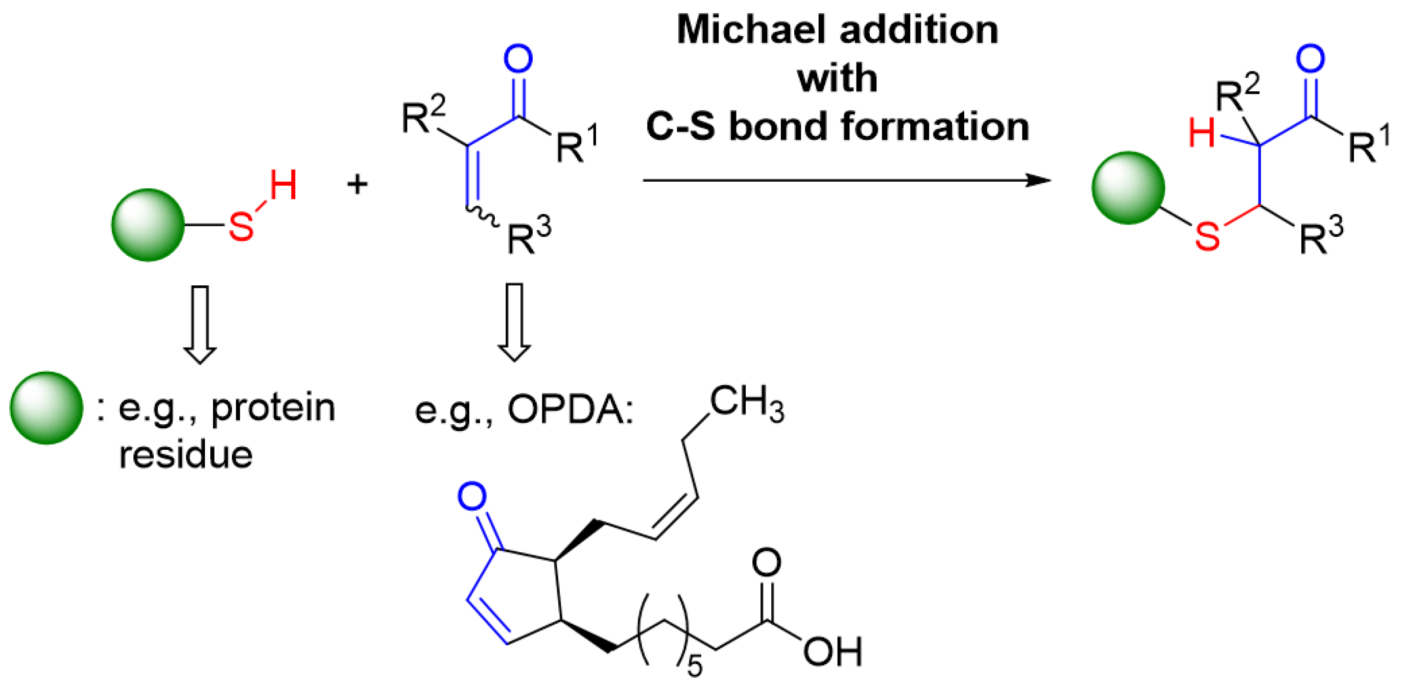 Antioxidants 11 00855 g013