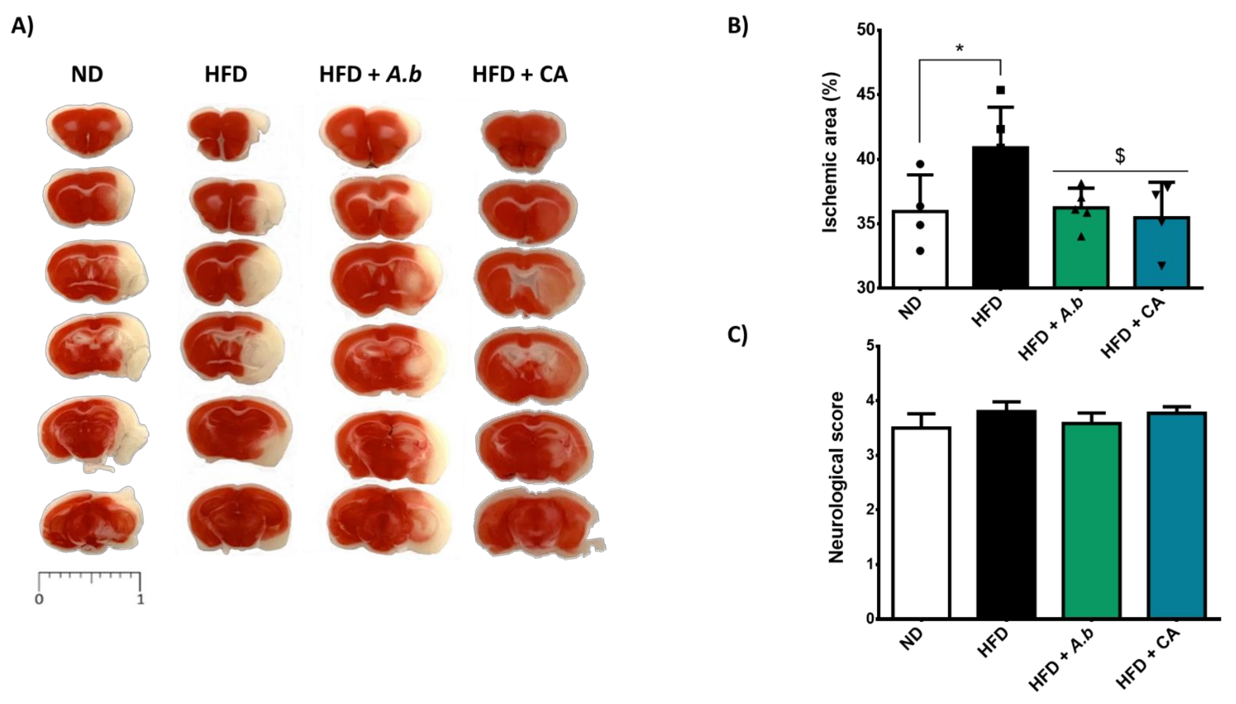 Antioxidants 11 00858 g005