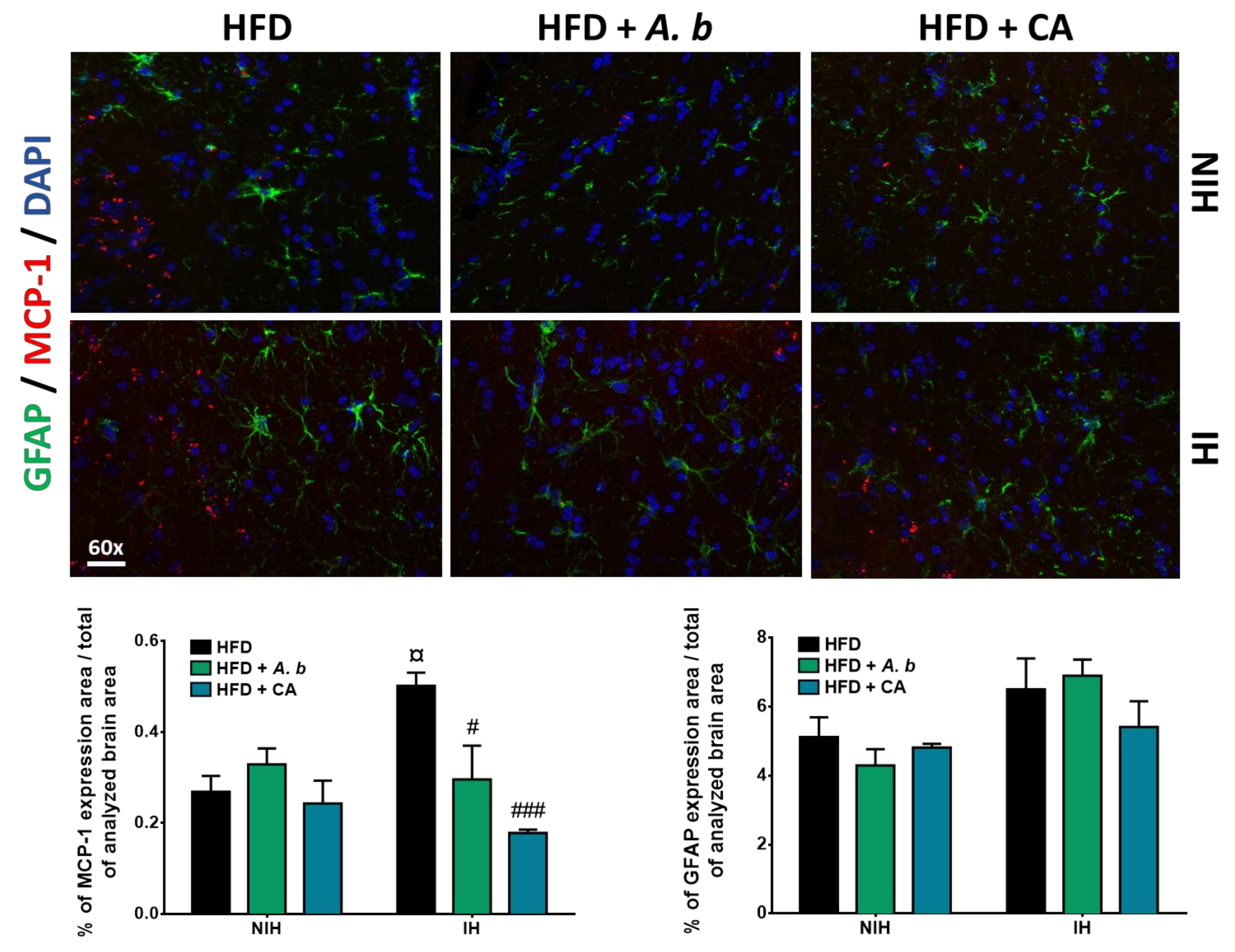 Antioxidants 11 00858 g007
