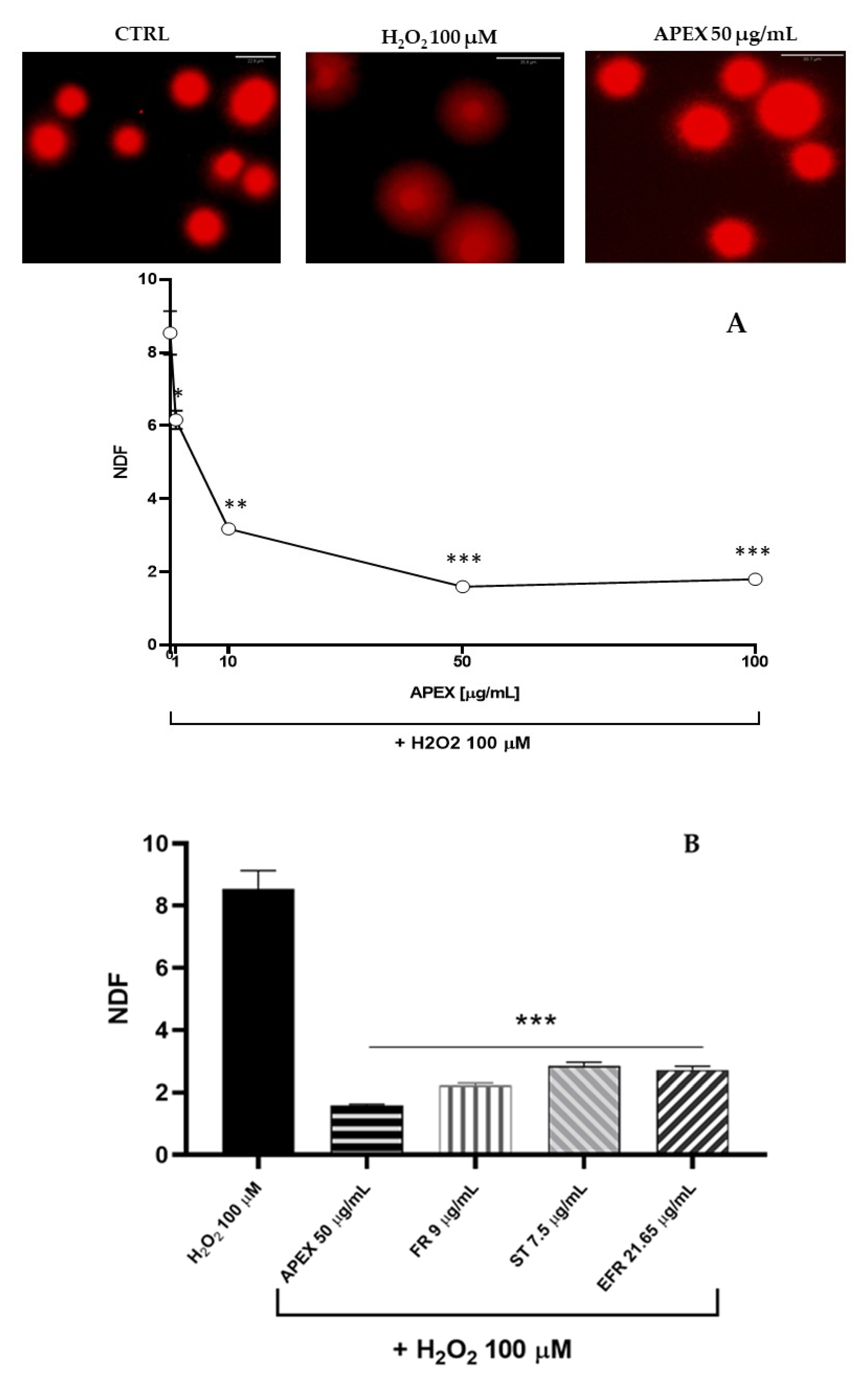 Antioxidants 11 00860 g005