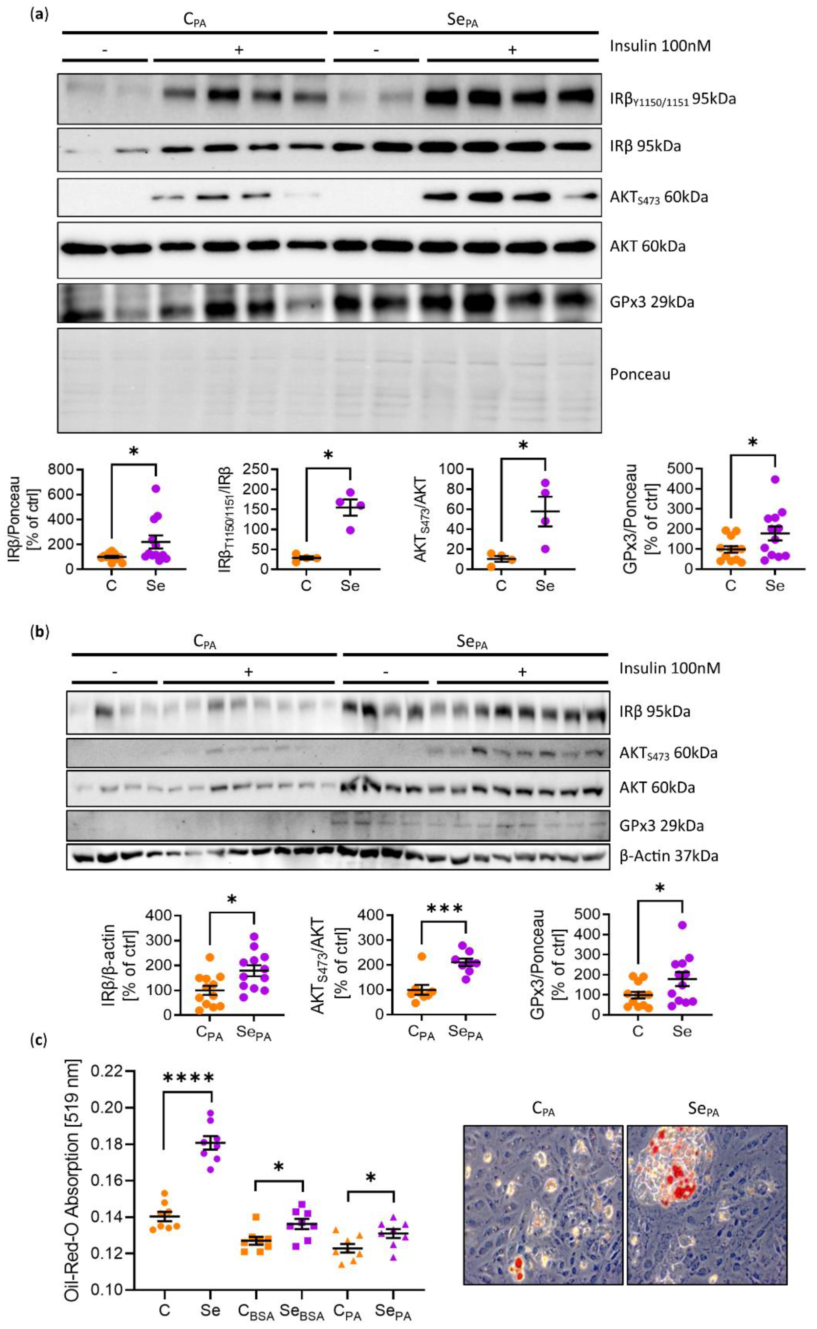 Antioxidants 11 00862 g002