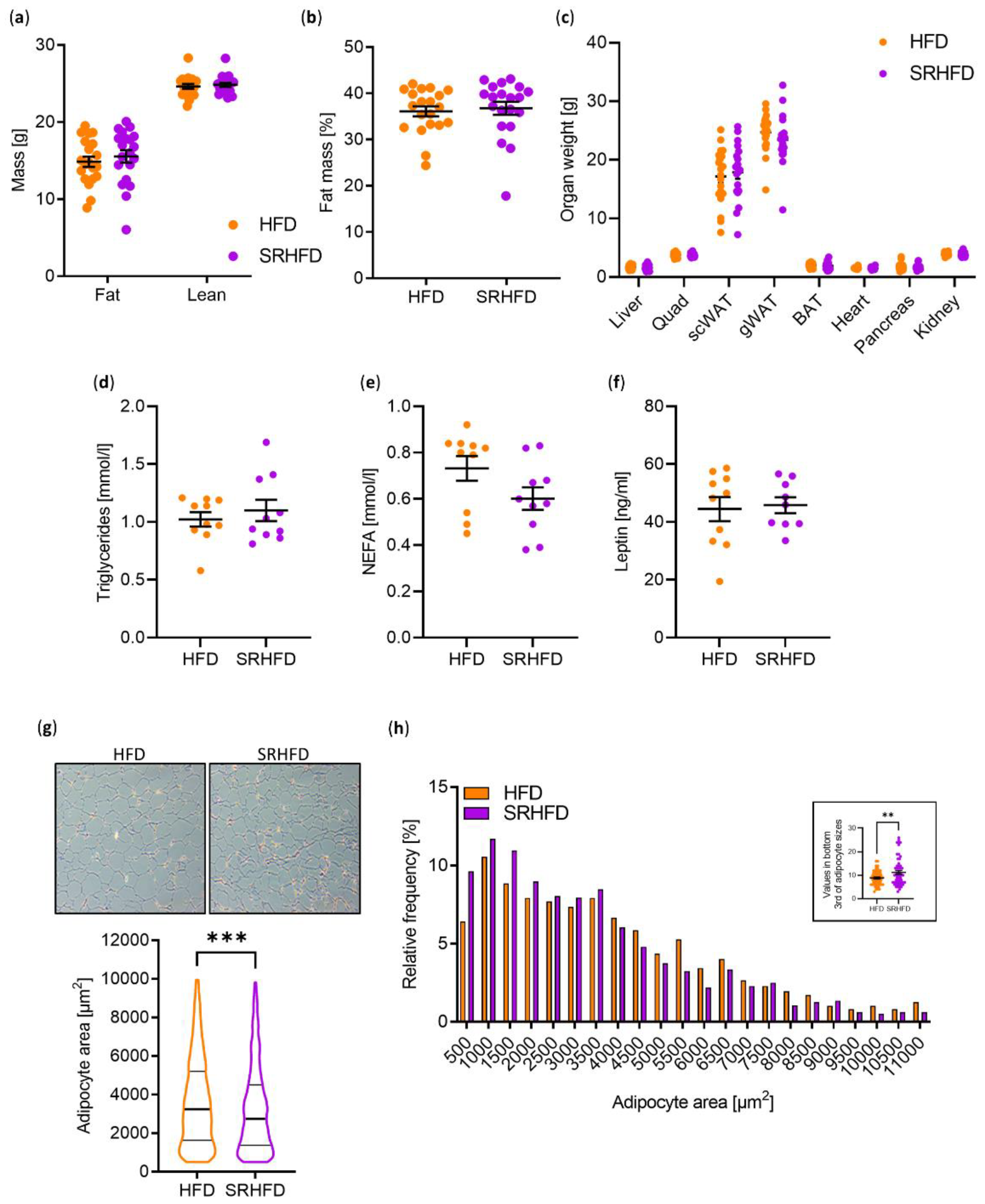 Antioxidants 11 00862 g004