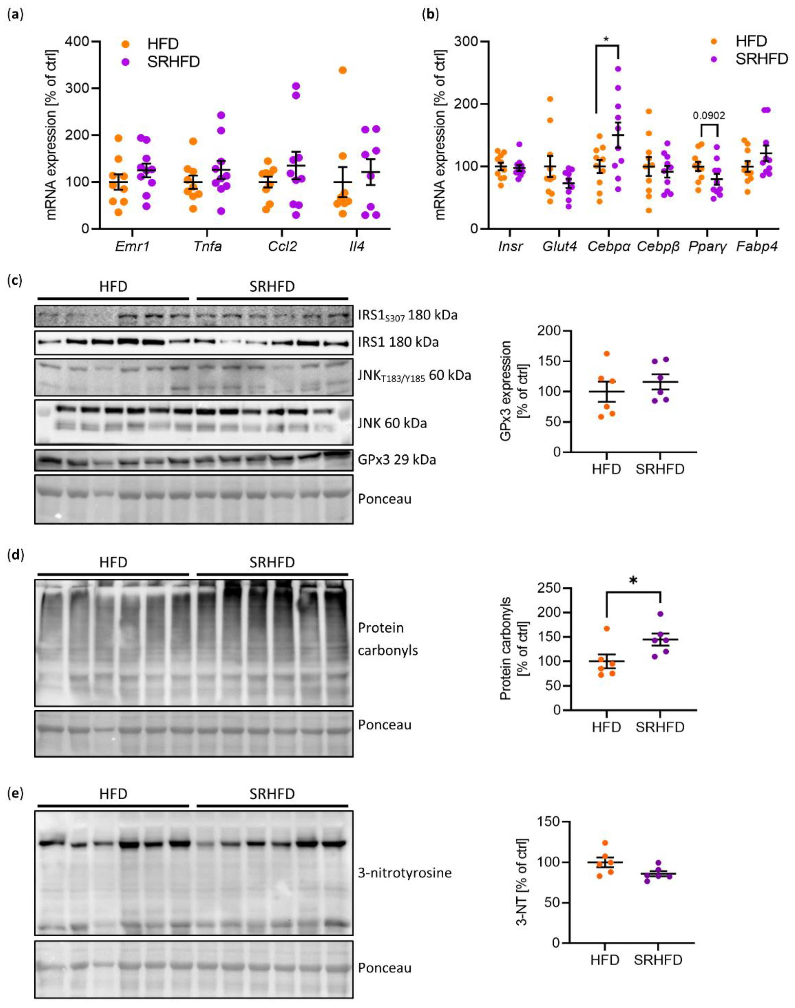 Antioxidants 11 00862 g005