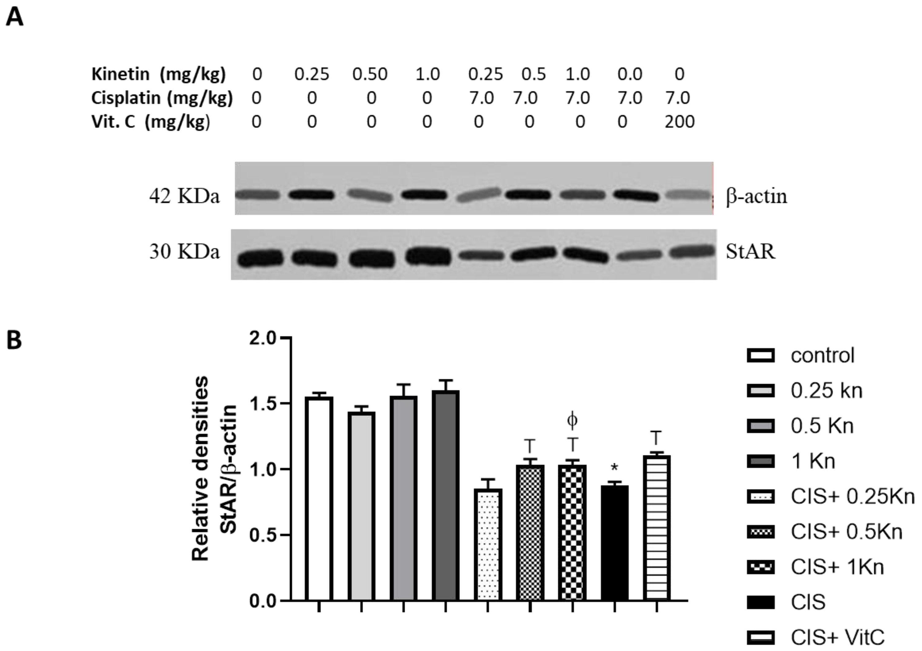 Antioxidants 11 00863 g004