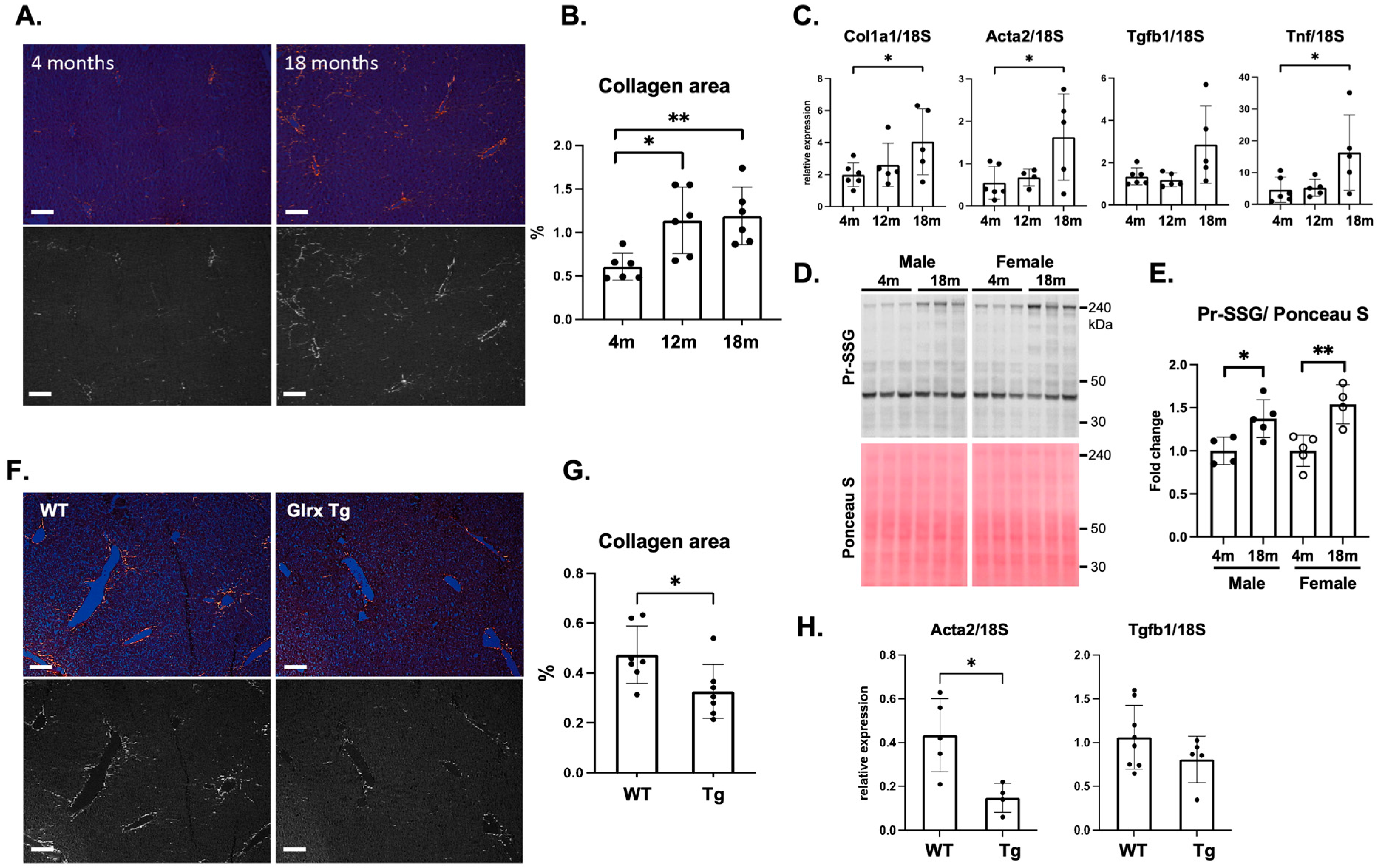 Antioxidants 11 00867 g001