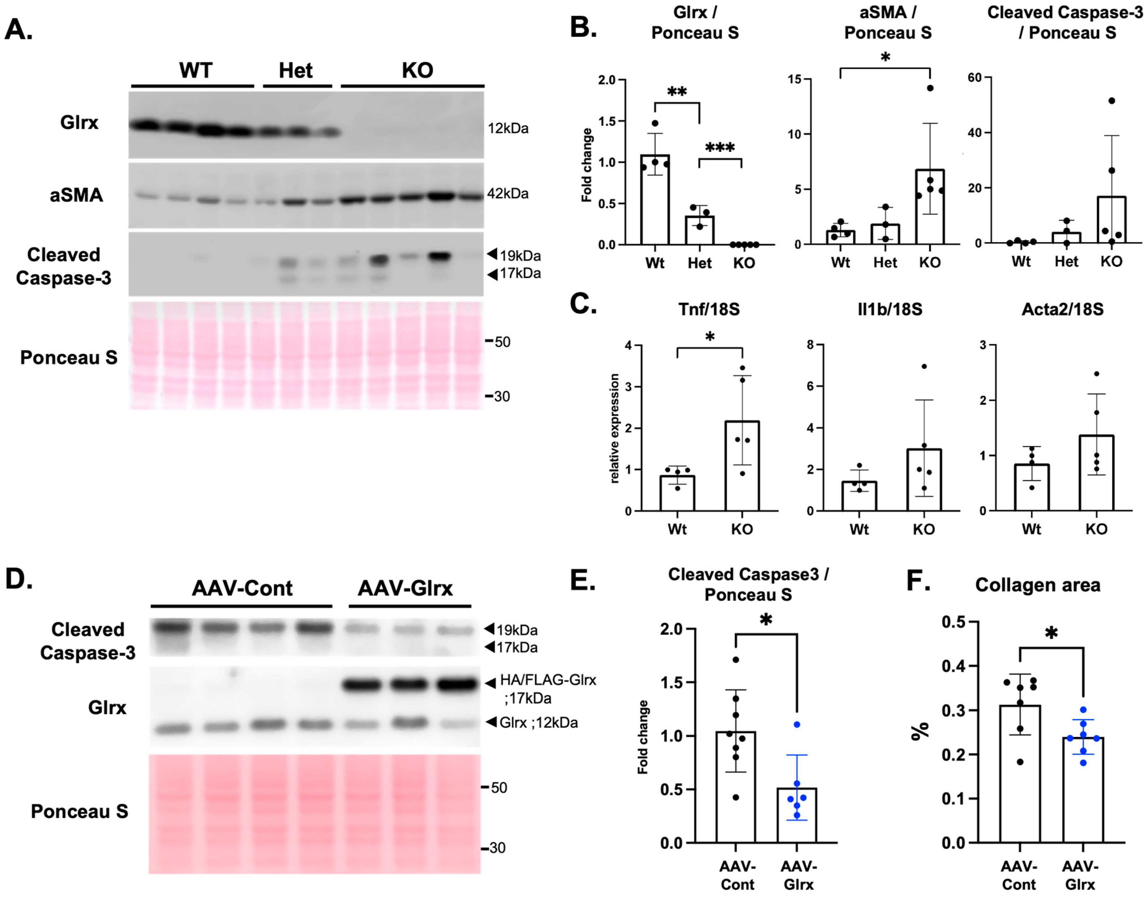 Antioxidants 11 00867 g002