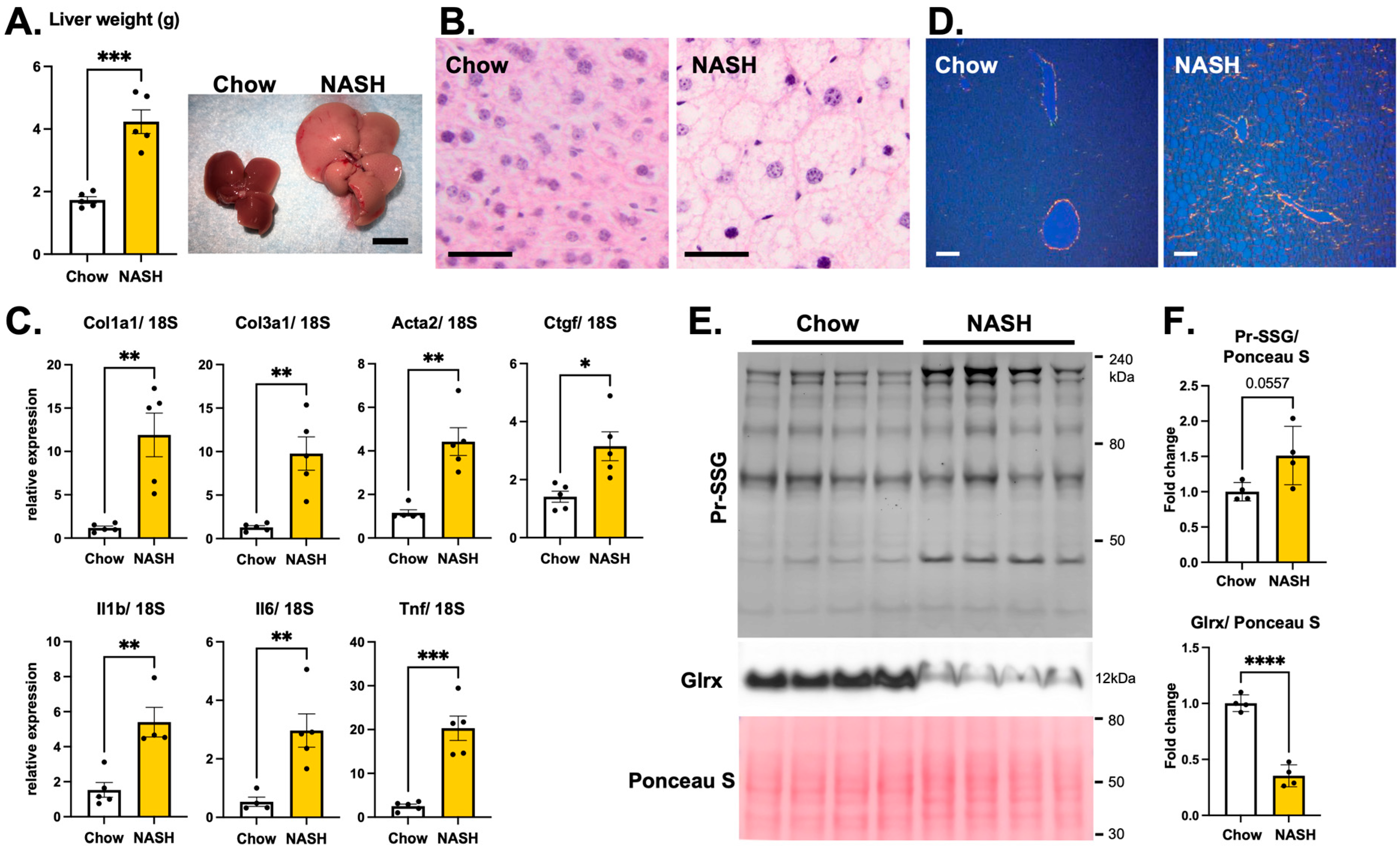 Antioxidants 11 00867 g004
