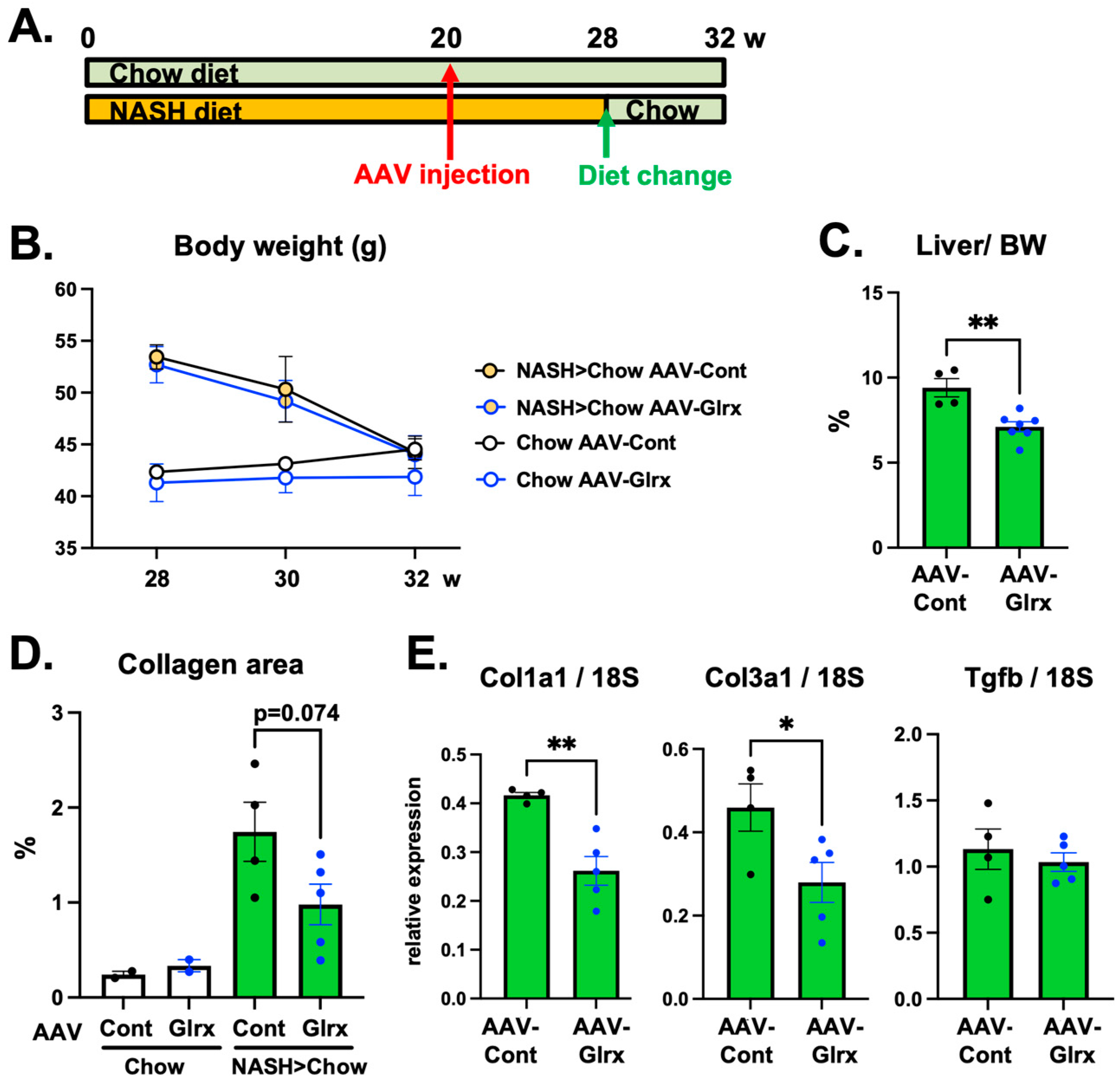 Antioxidants 11 00867 g006