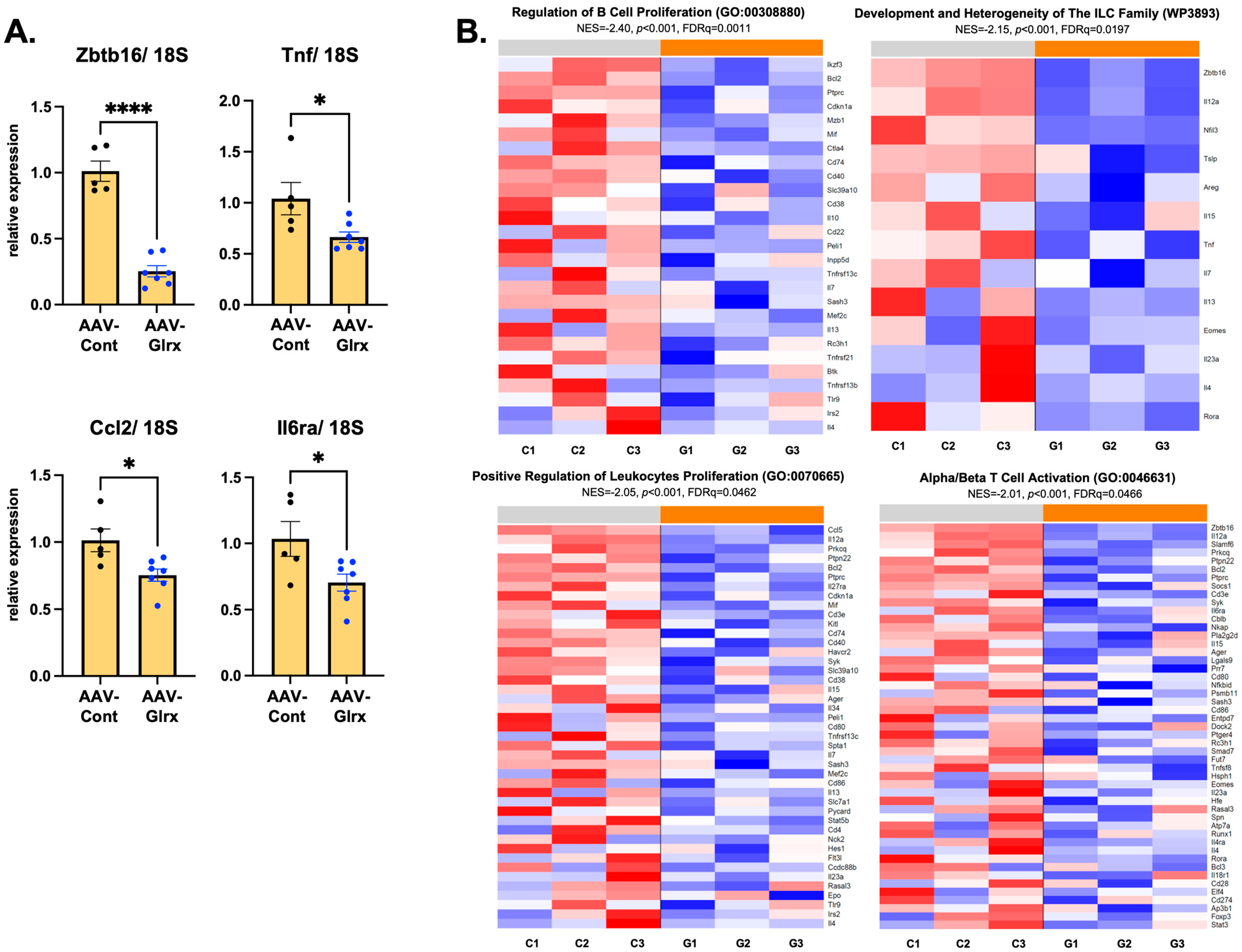 Antioxidants 11 00867 g007