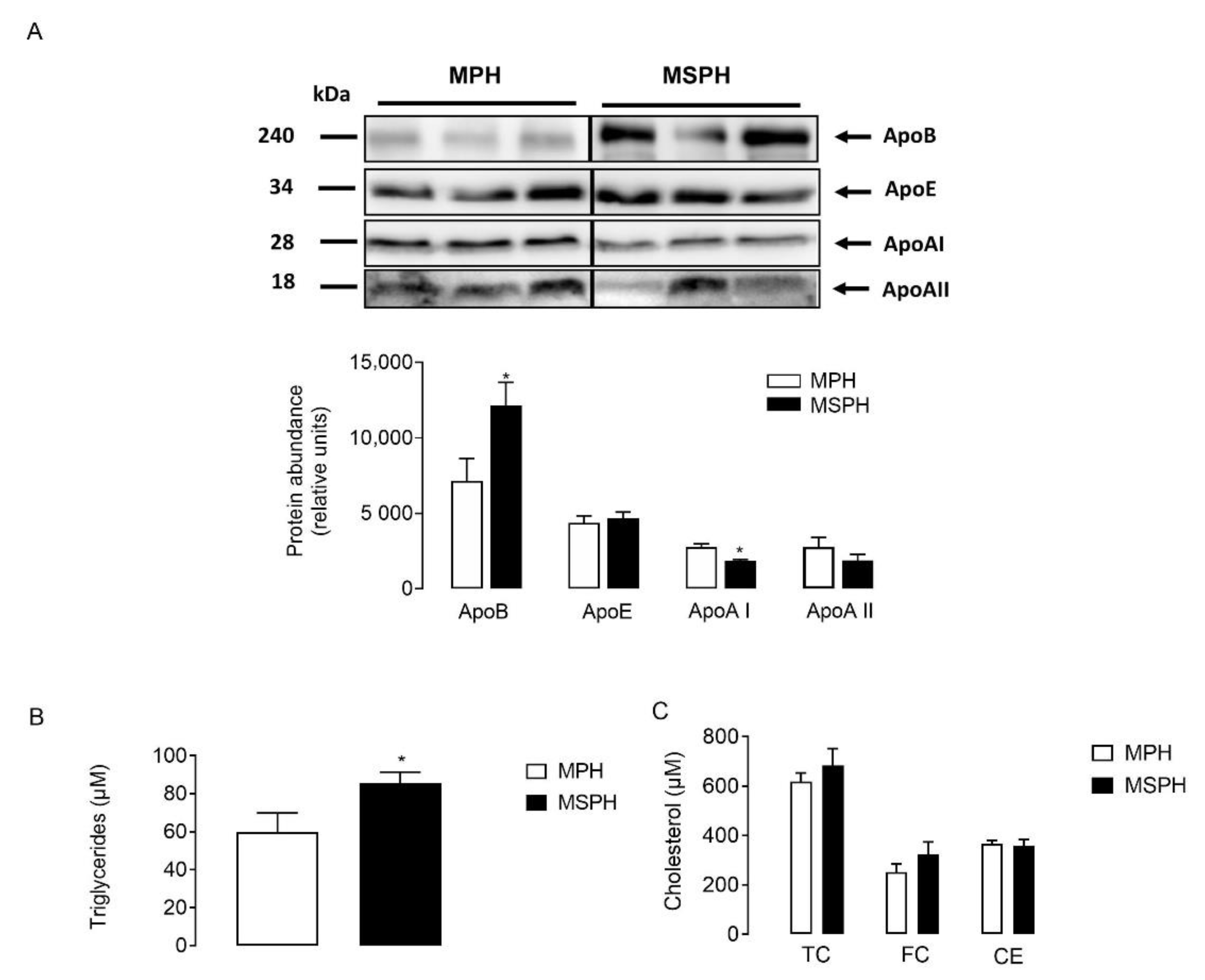 Antioxidants 11 00869 g004