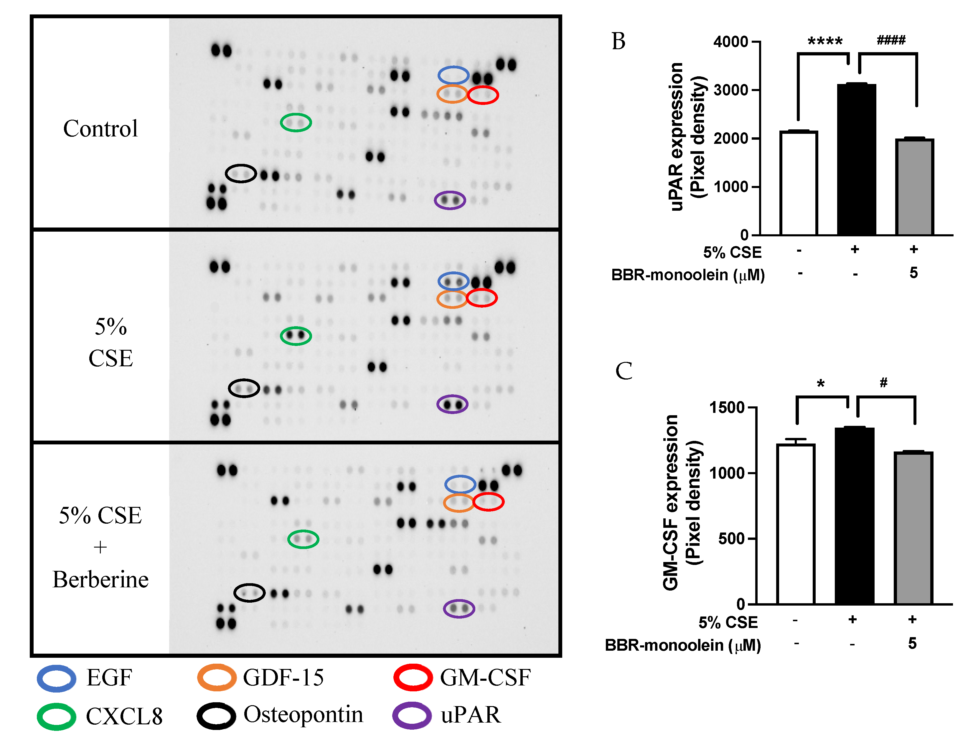 Antioxidants 11 00873 g005a