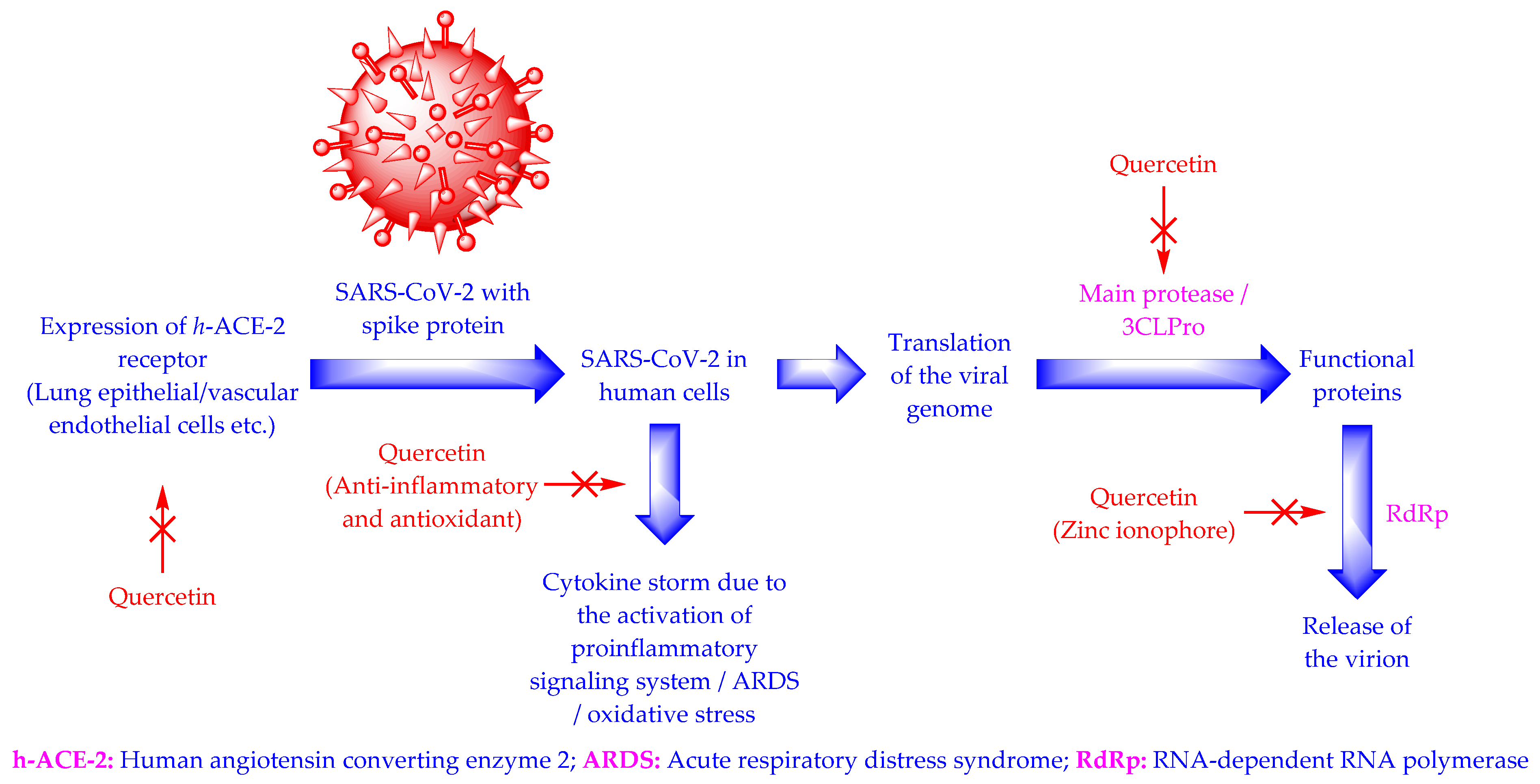 Antioxidants 11 00876 g003