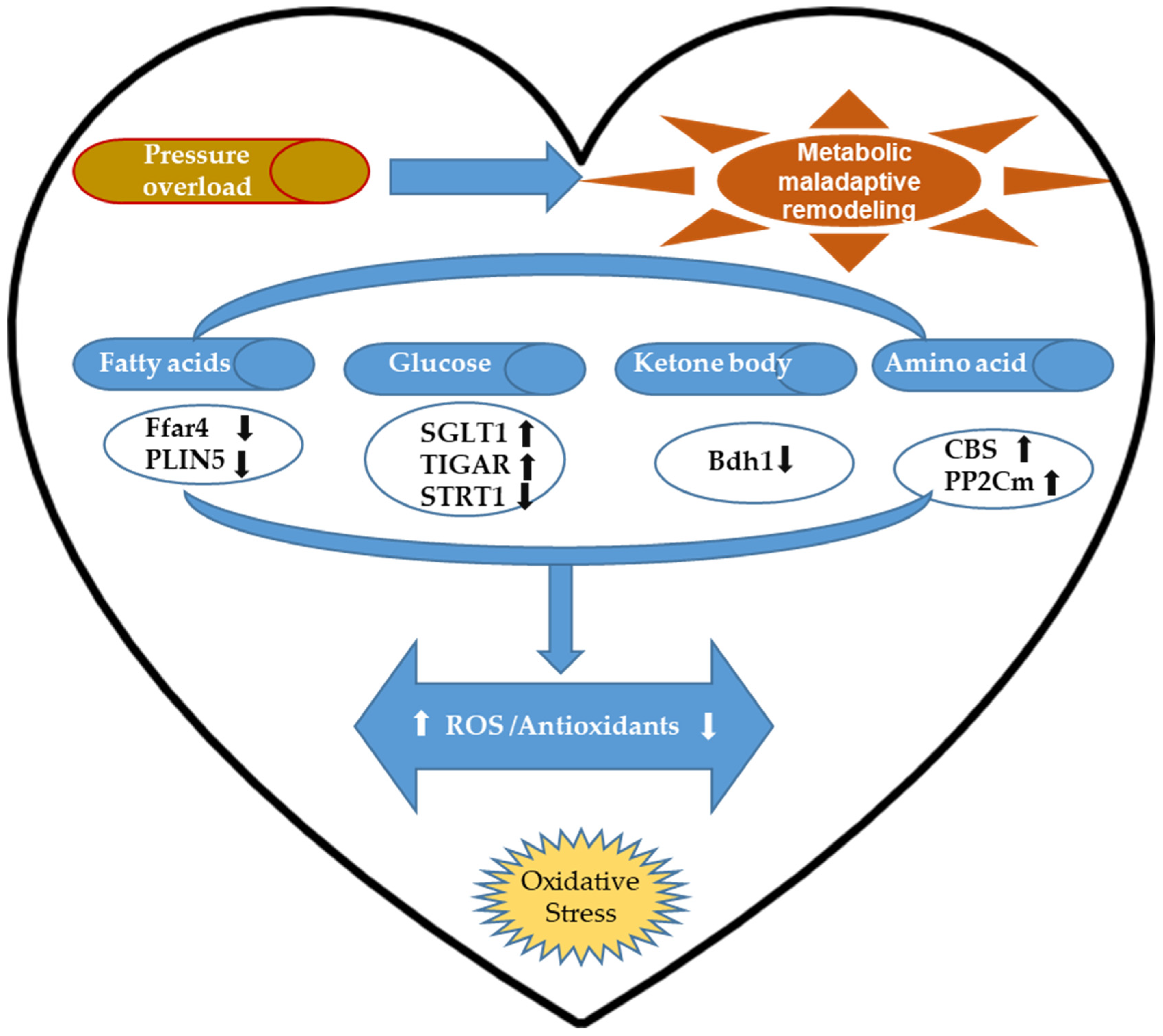 Antioxidants 11 00877 g002