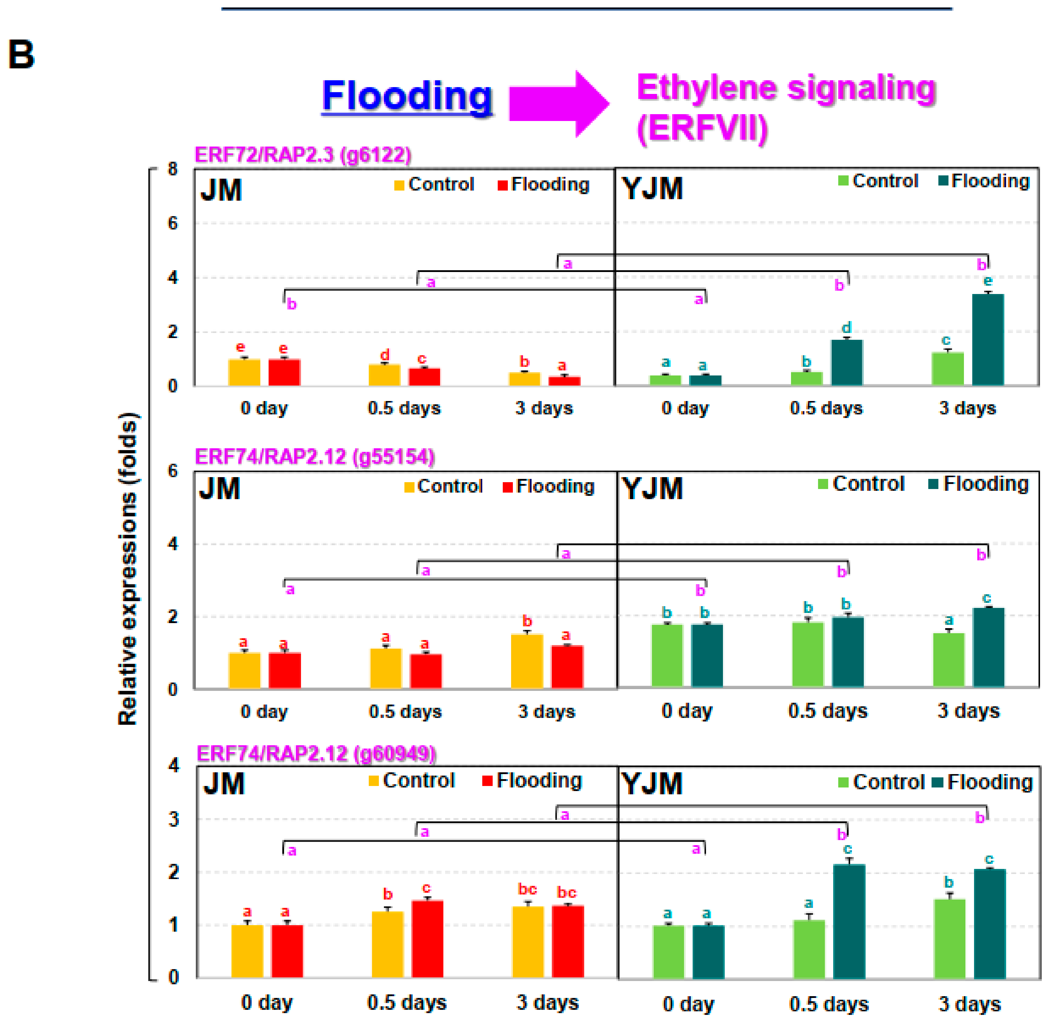 Antioxidants 11 00878 g001b