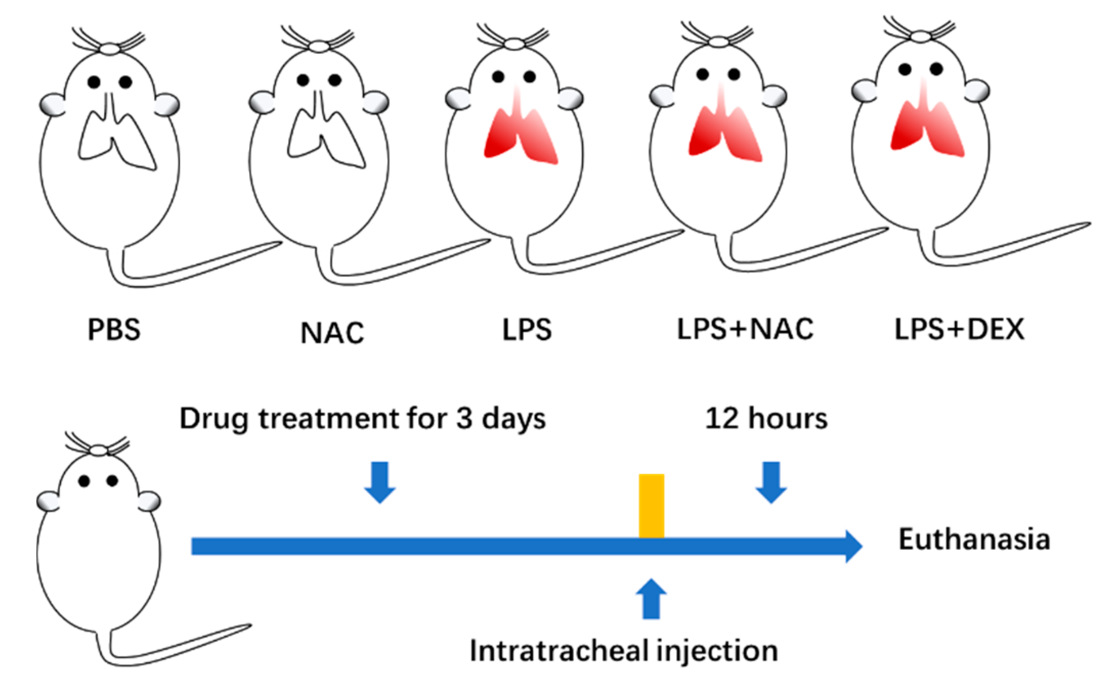 Antioxidants 11 00879 g001
